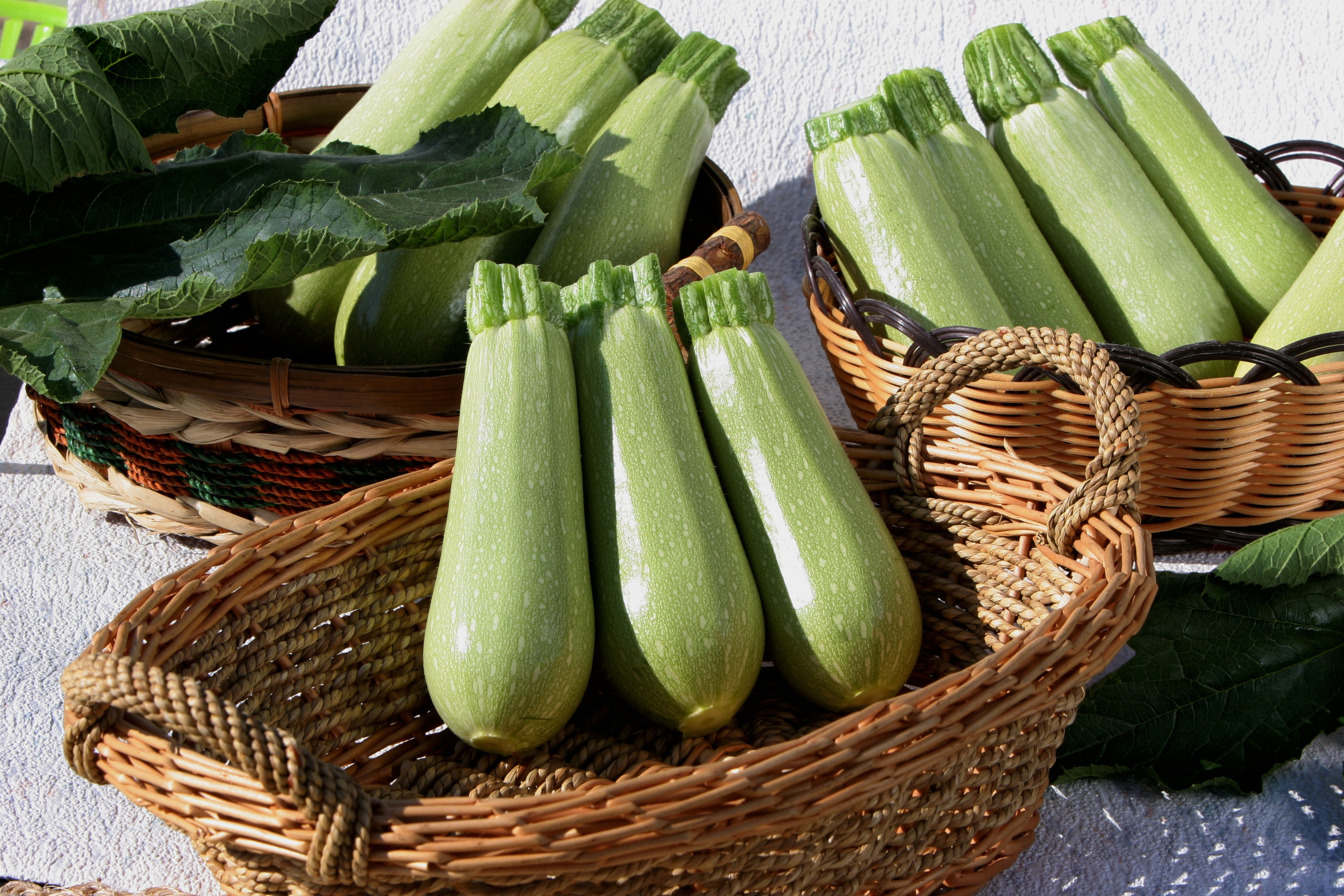 Product photography. The Website of the Photographer Vitaly Deni