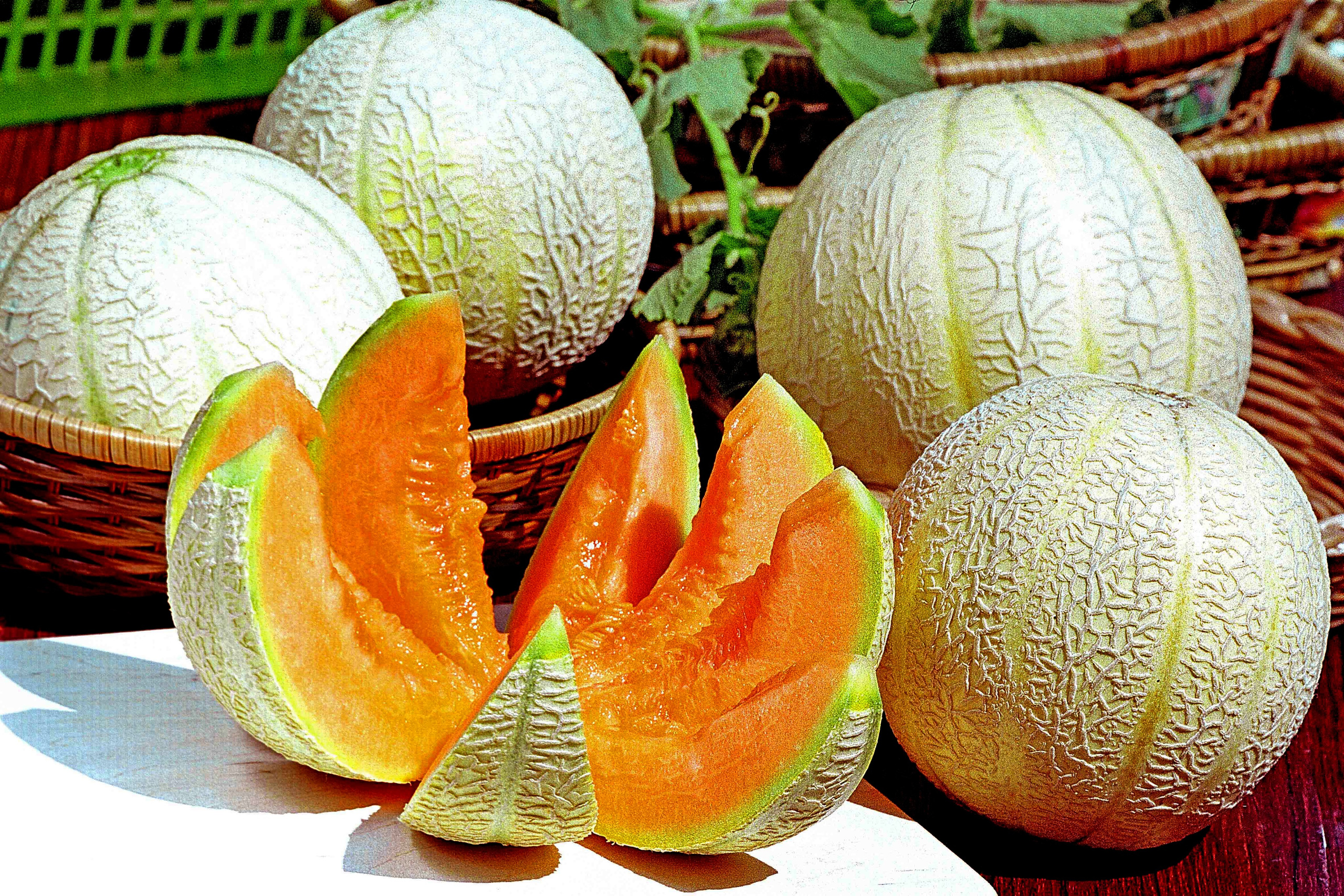 Product photography. The Website of the Photographer Vitaly Deni