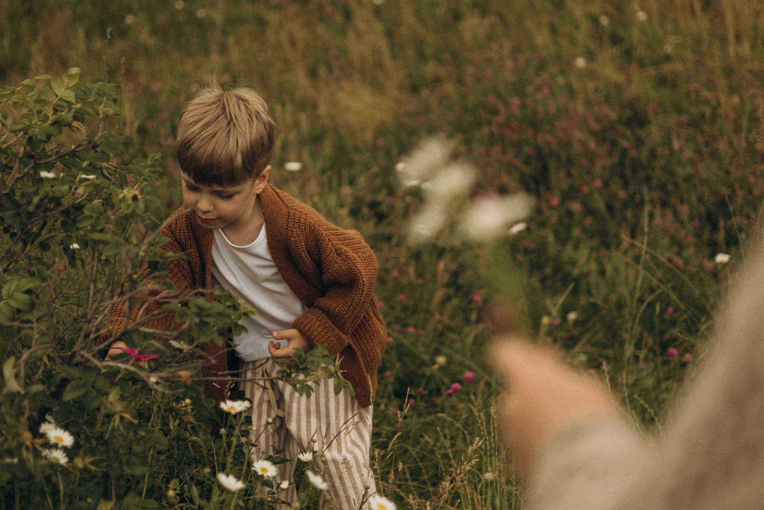 Регина, Сергей и Егор. Анастасия Шаповалова | Семейный фотограф