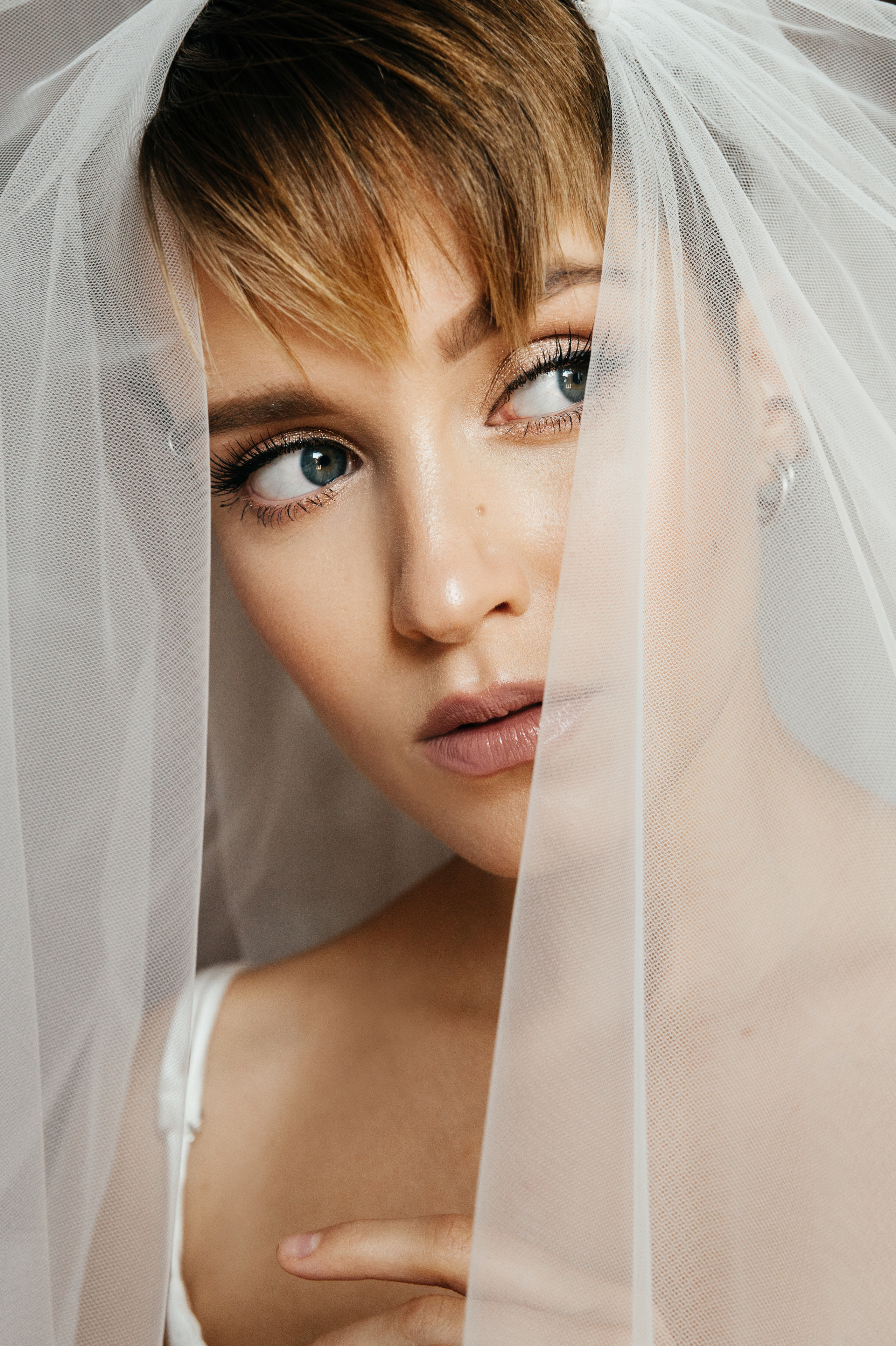 Wedding in Moscow. Wedding and family photographer in Dubai Vasilii Albul