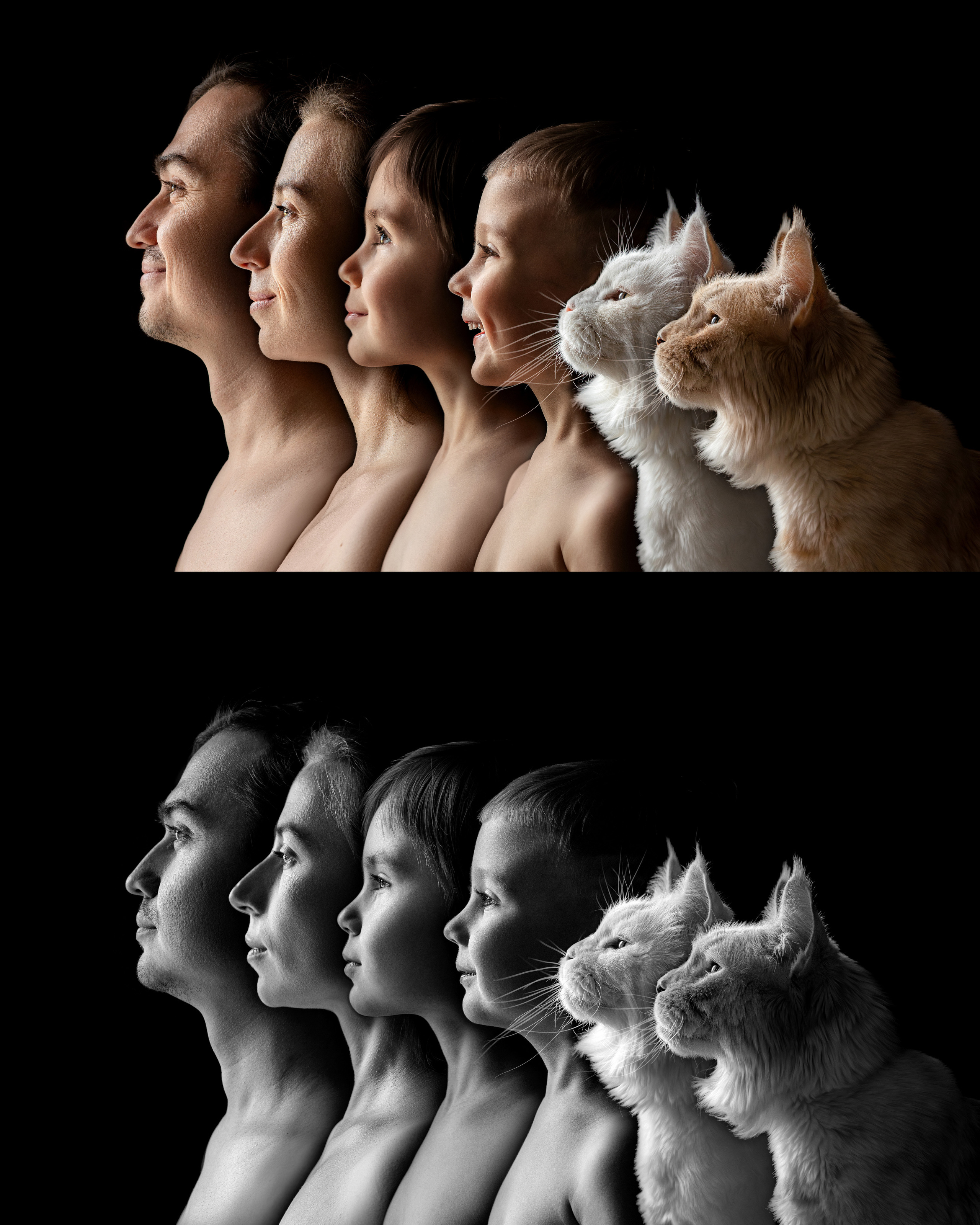 Семейный портрет «Связь поколений». Семейный, детский, спортивный фотограаф в Красноярске Захарова Екатерина Egoza