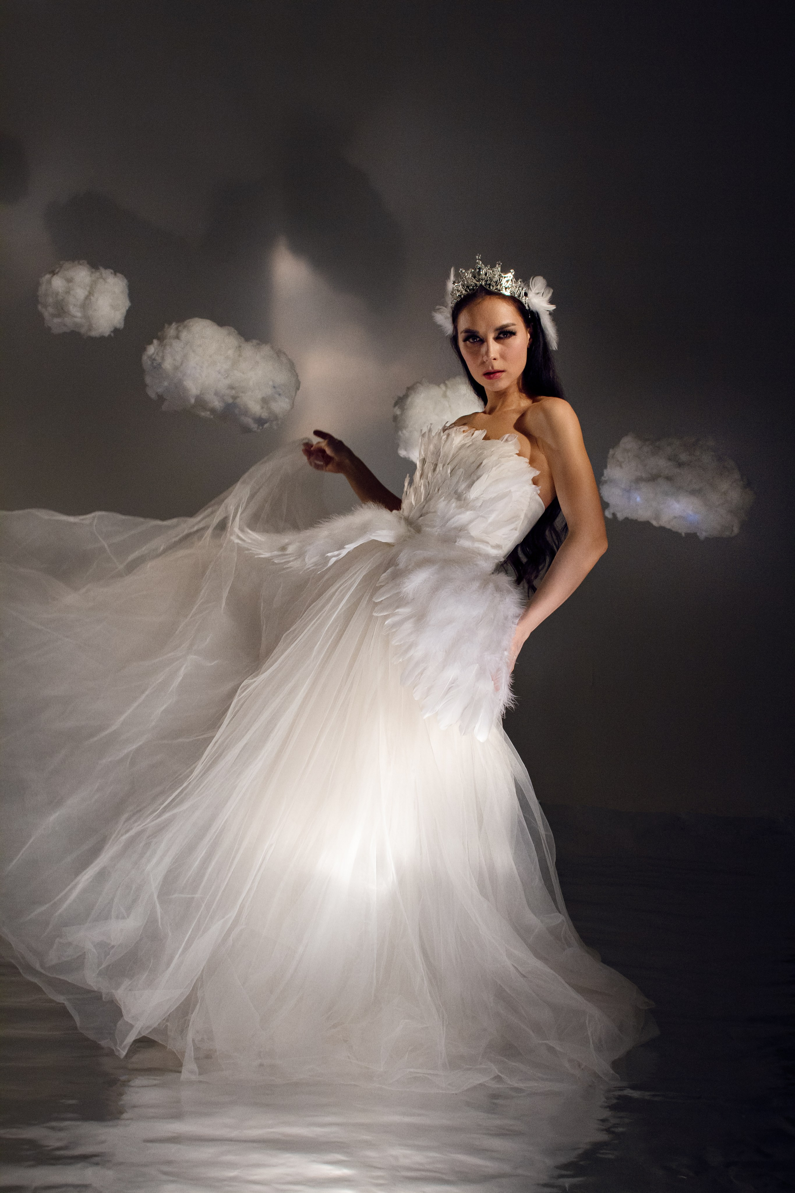 Автор Вера Горчакова - Лебедь