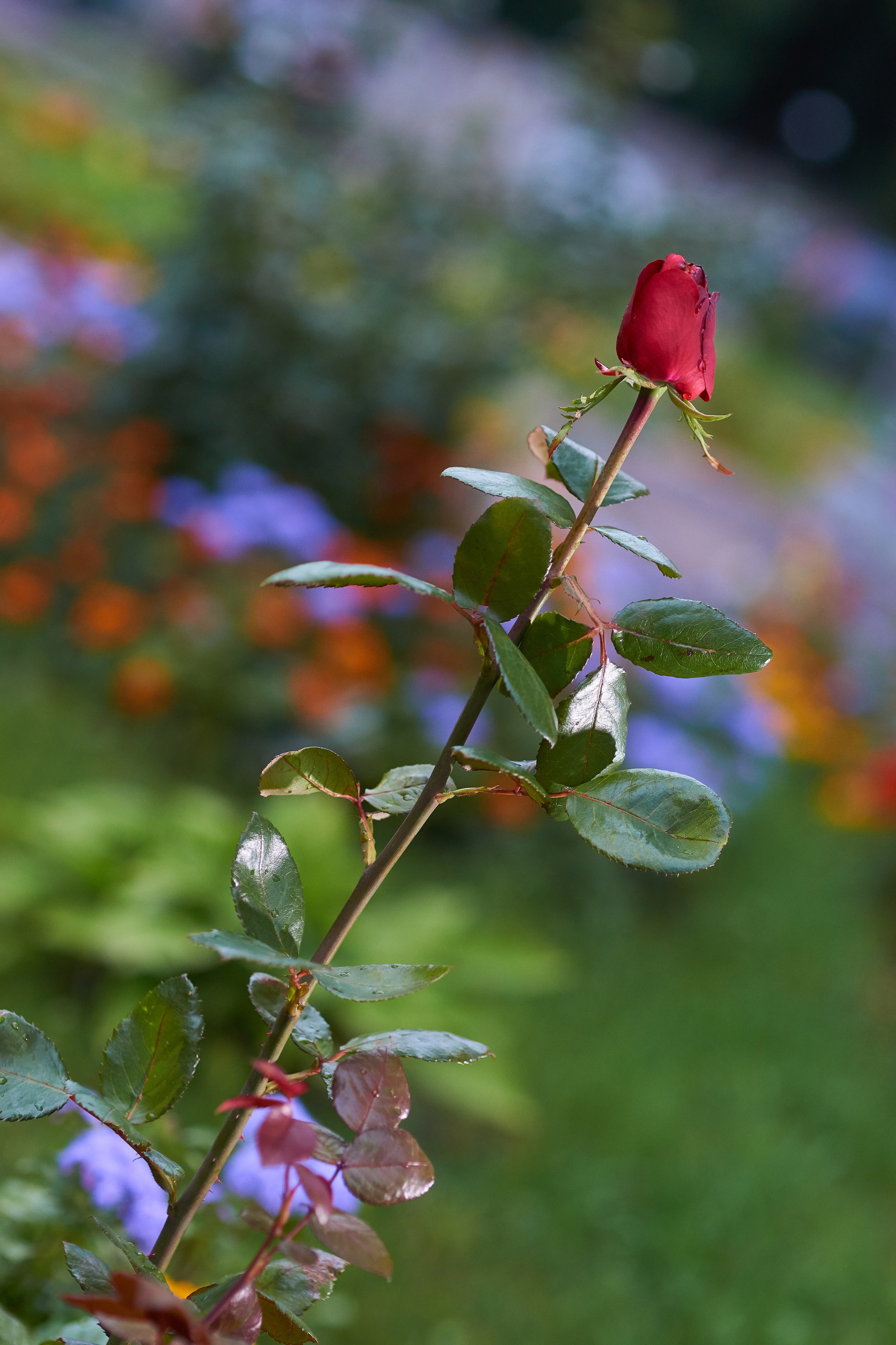 Наша мать — природа. Фотограф Владимир Артамонов