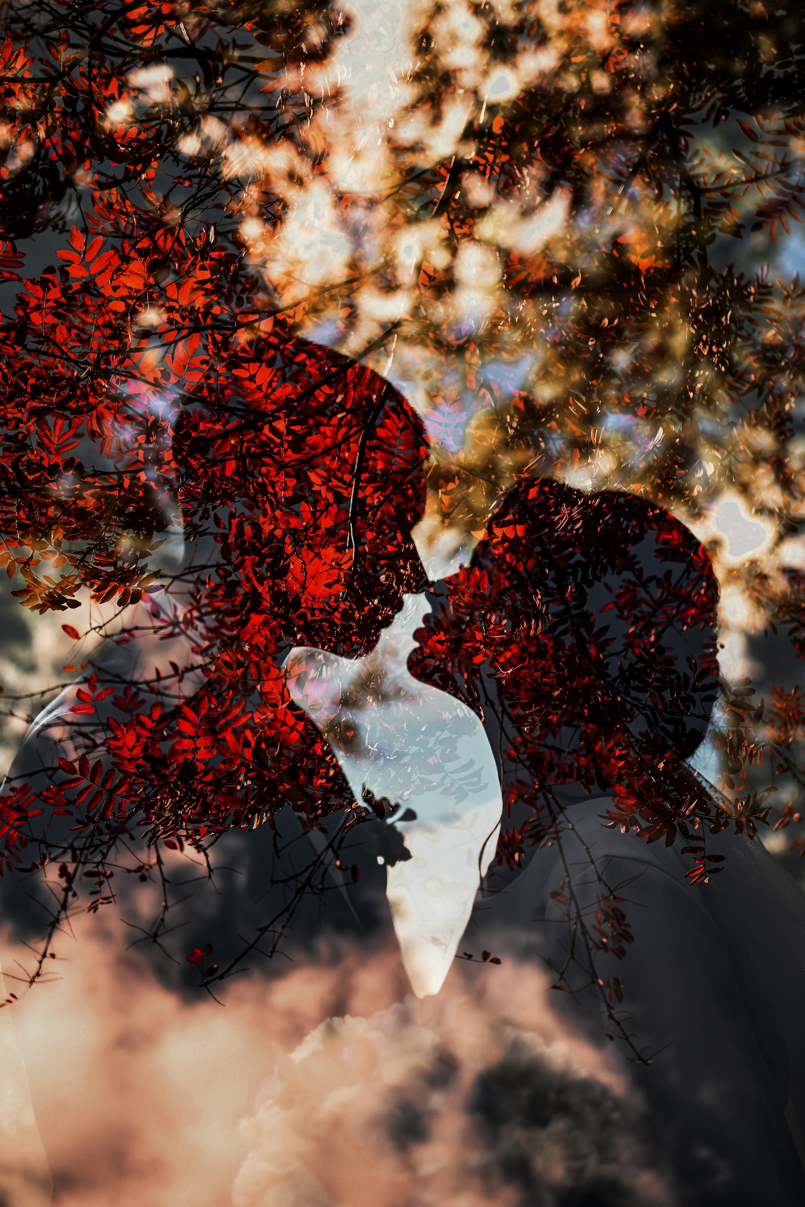 Небольшая часть фото со свадебной съемки Алексея и Даши. Свадебный, семейный, детский, контент фотограф в Омске Максим Ильин