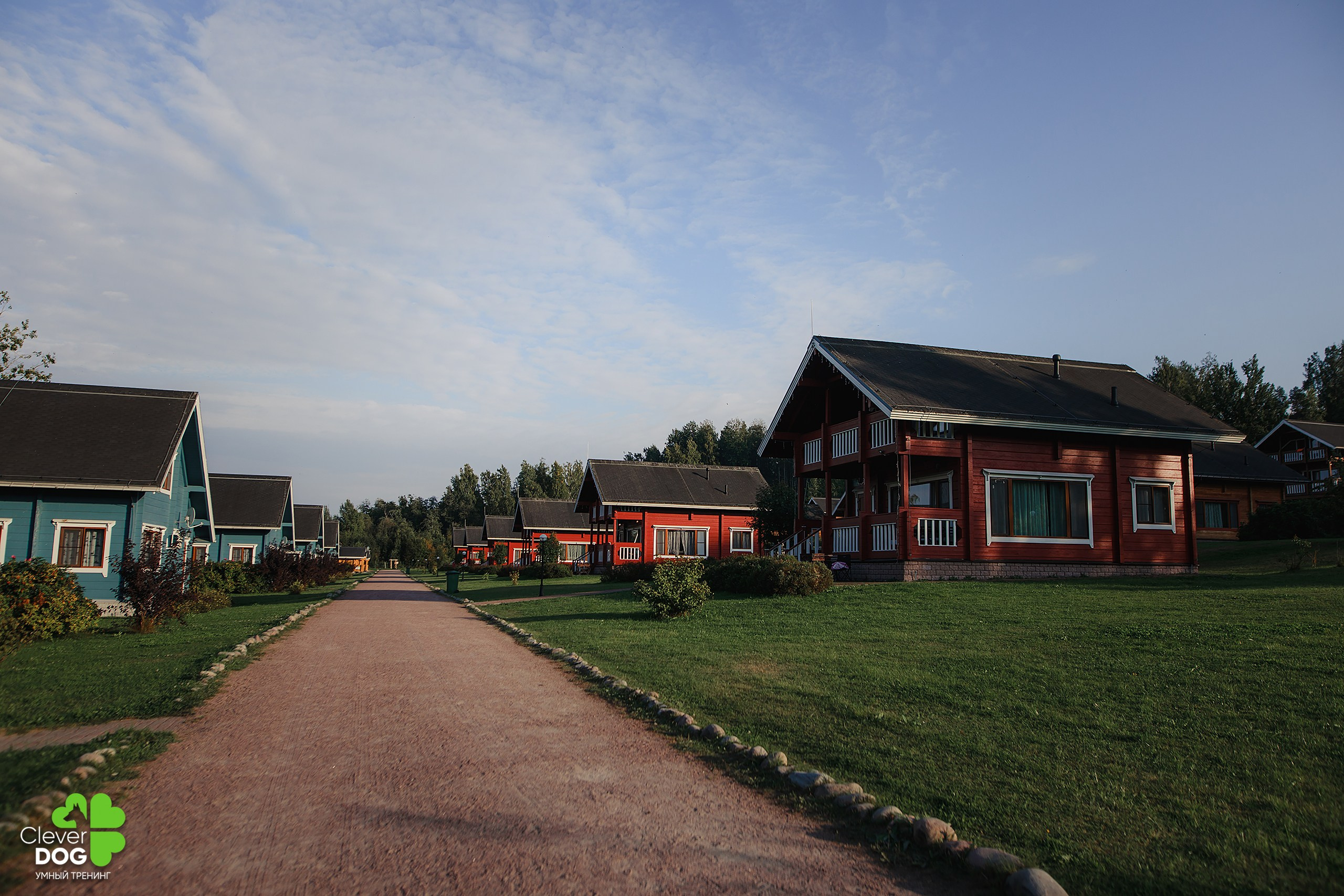 Кинологический лагерь CleverDog, 2024. Фотограф-анималист Mary Mart — Москва, Питер
