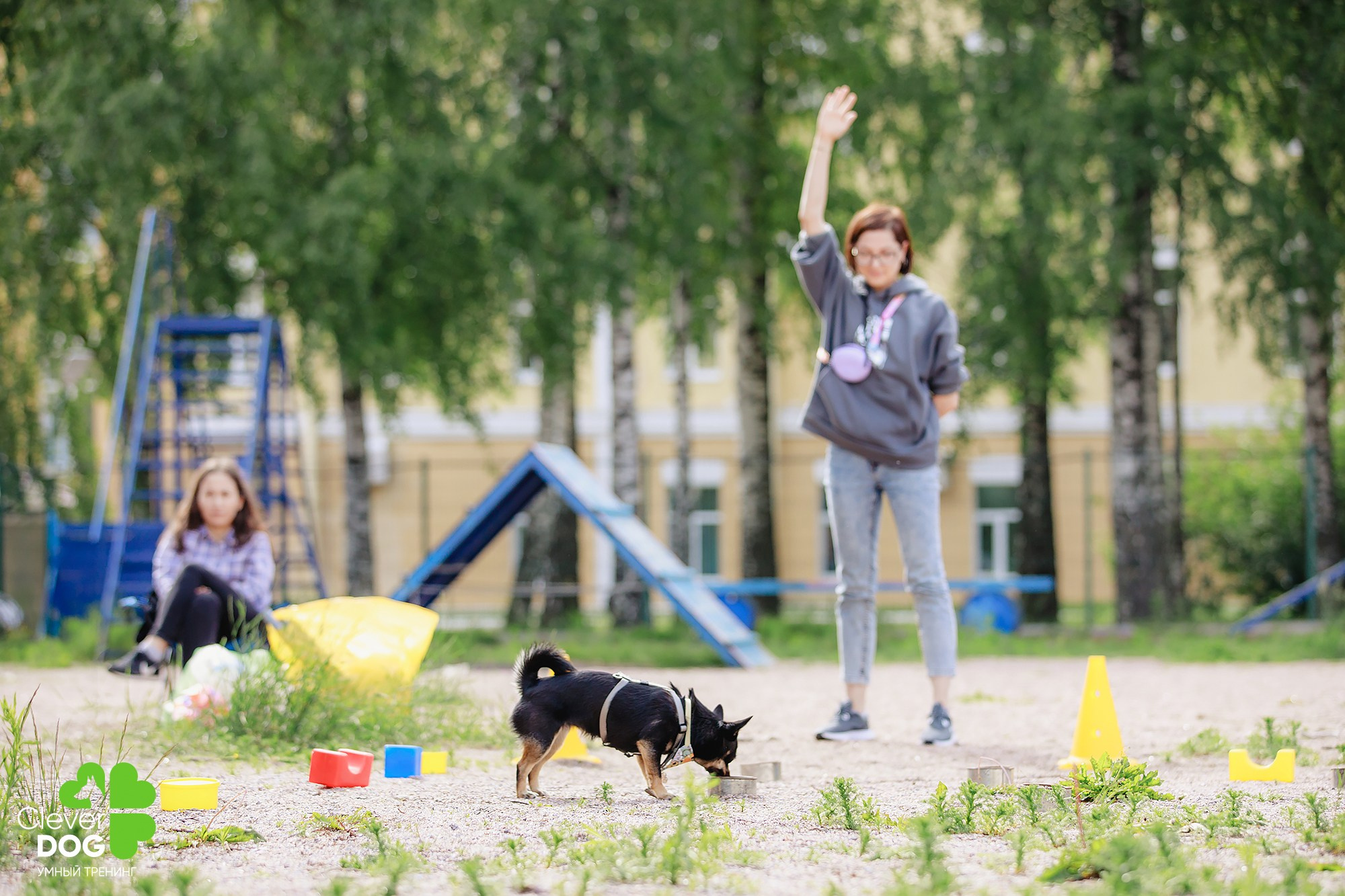 Семинар по поиску запаха с Иваном Ломовым, организатор CleverDog, СПб. Фотограф-анималист Mary Mart — Москва, Питер