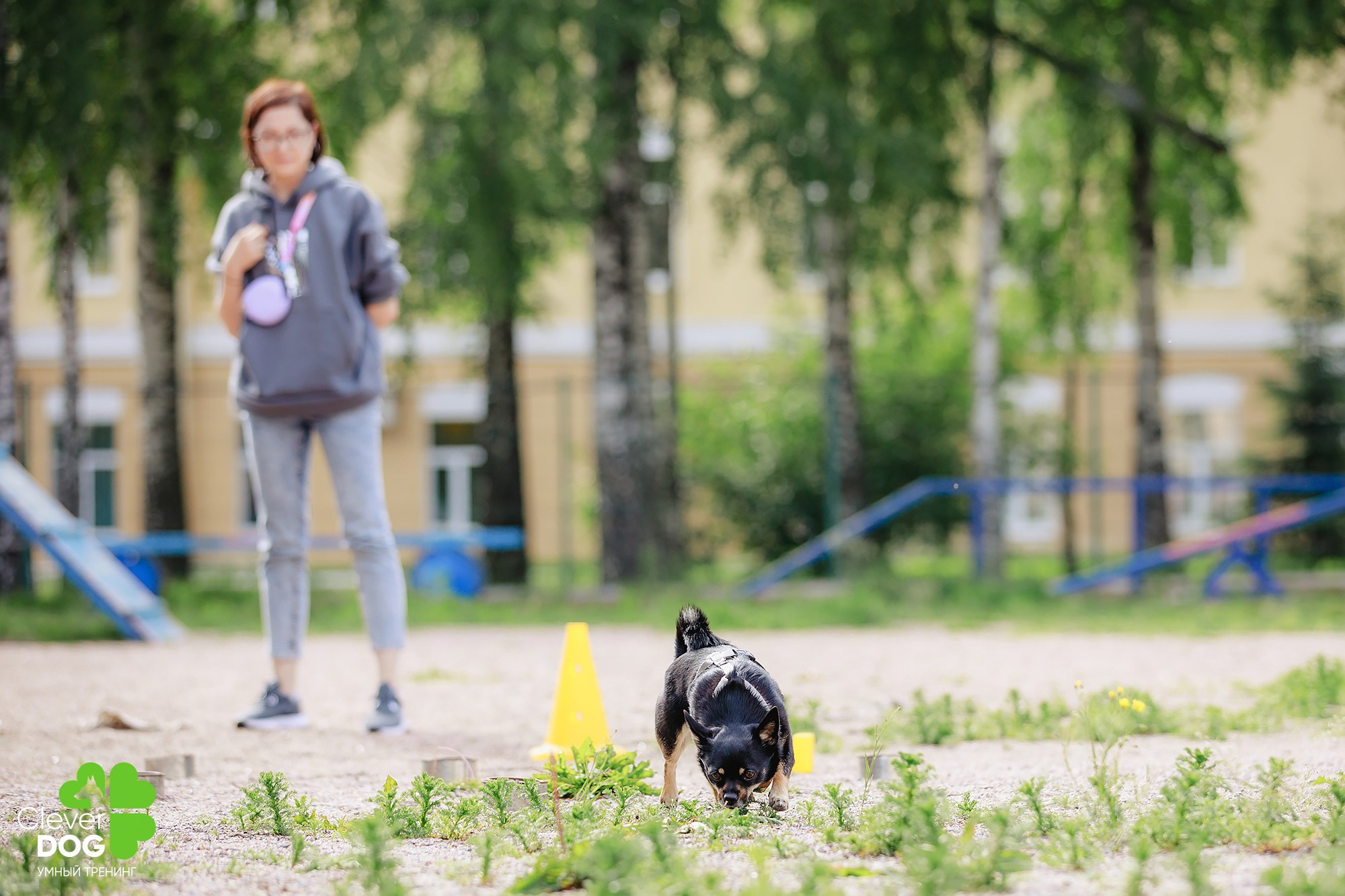 Семинар по поиску запаха с Иваном Ломовым, организатор CleverDog, СПб. Фотограф-анималист Mary Mart — Москва, Питер