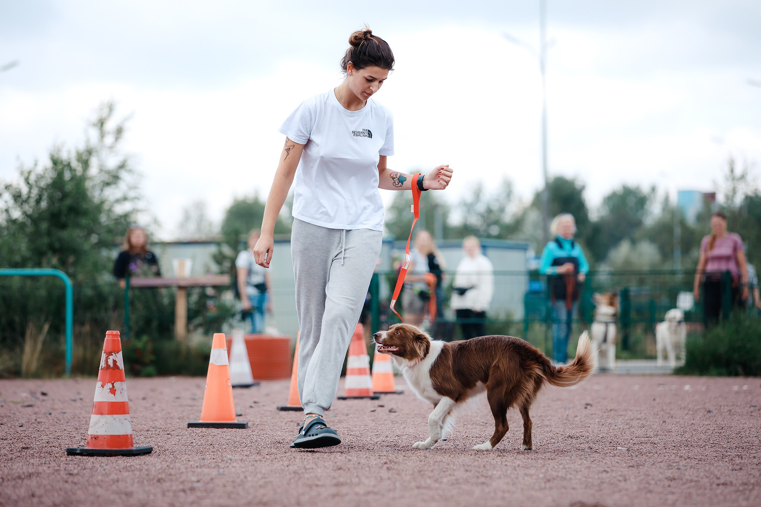 Питч&Гоу + веселые старты. Фотограф-анималист Mary Mart — Москва, Питер