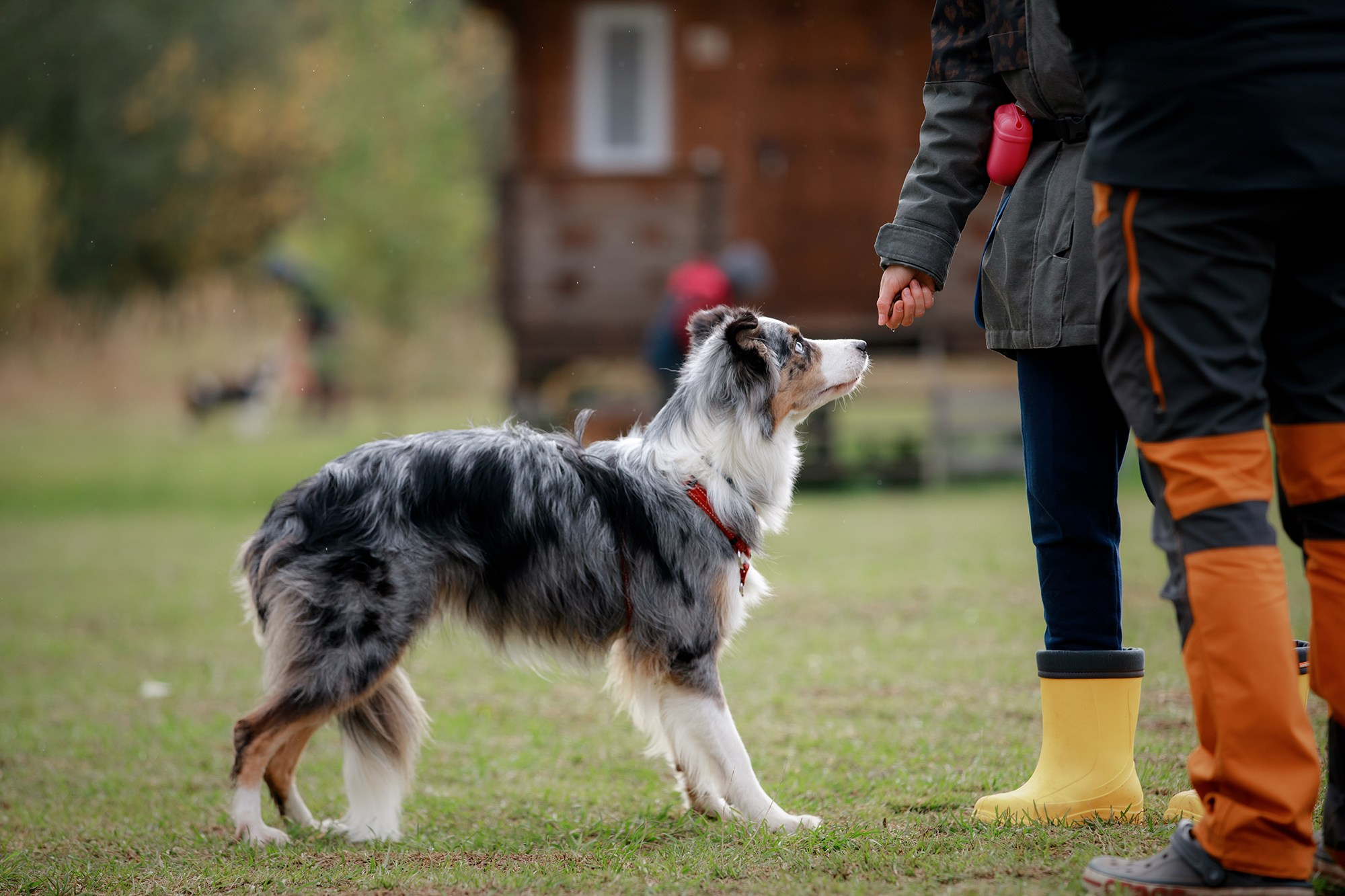 Лагерь по ОБД с Инной Баженовой. Фотограф-анималист Mary Mart — Москва, Питер