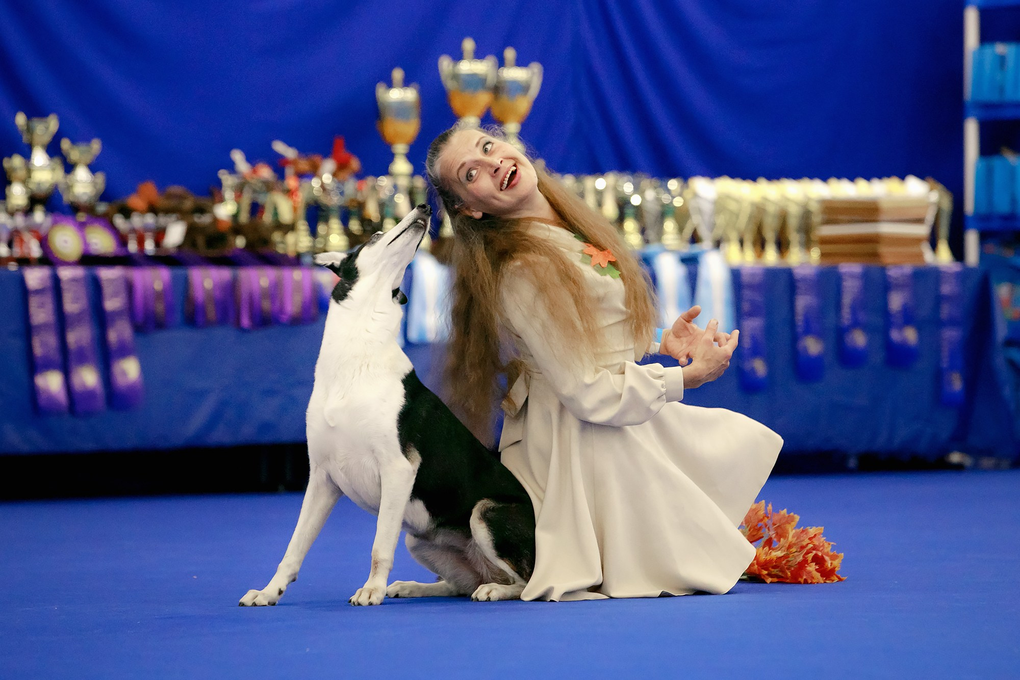 Танцы на выставке «Зоошоу», СПб. Фотограф-анималист Mary Mart — Москва, Питер