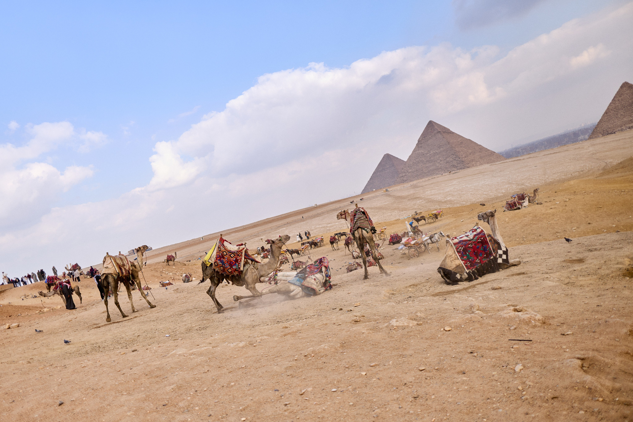 Другое 4. Jorgis — фотограф в Хургаде / обучение фотографии