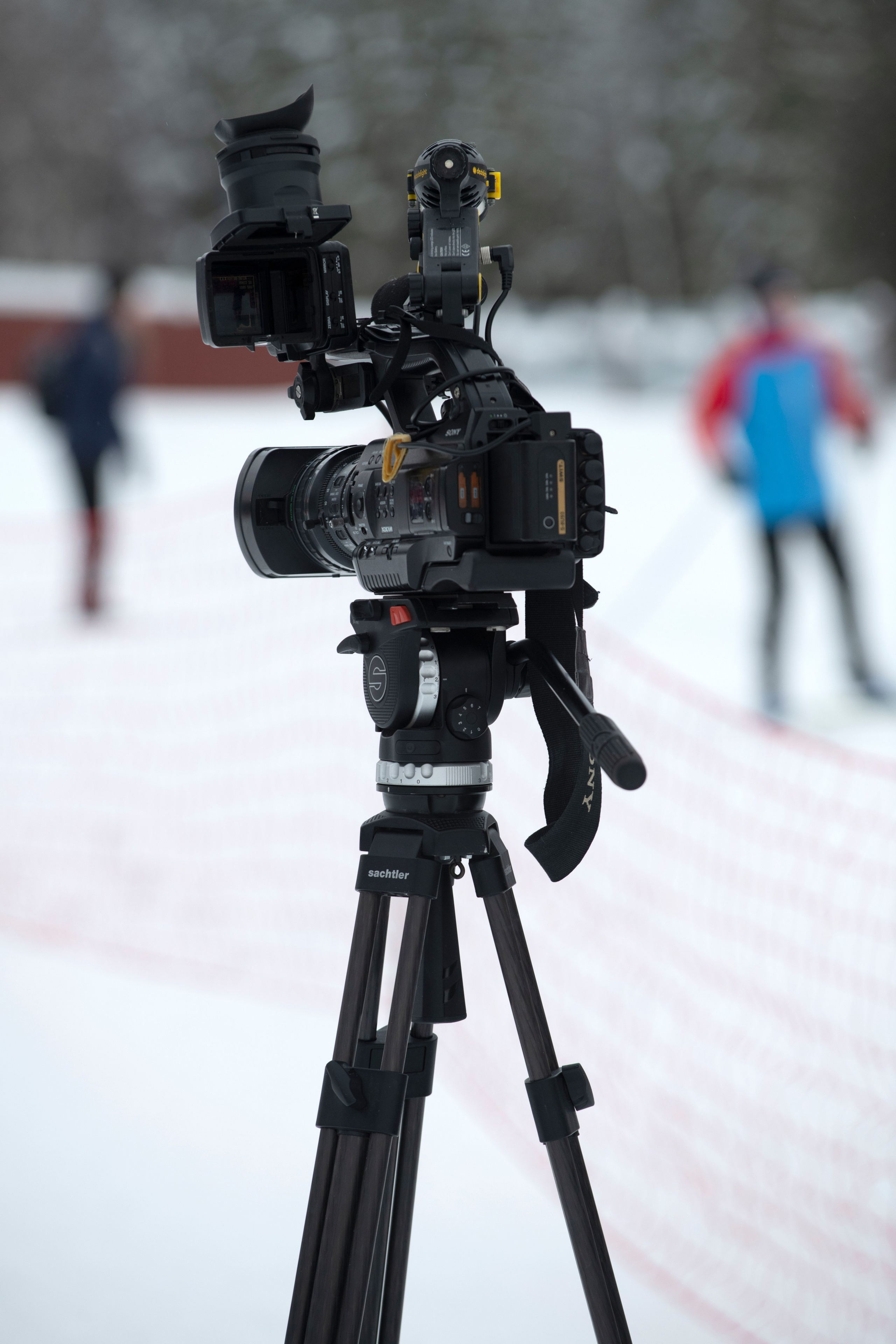 Лыжня России 2025. Репортажный и портретный фотограф Alex Dum