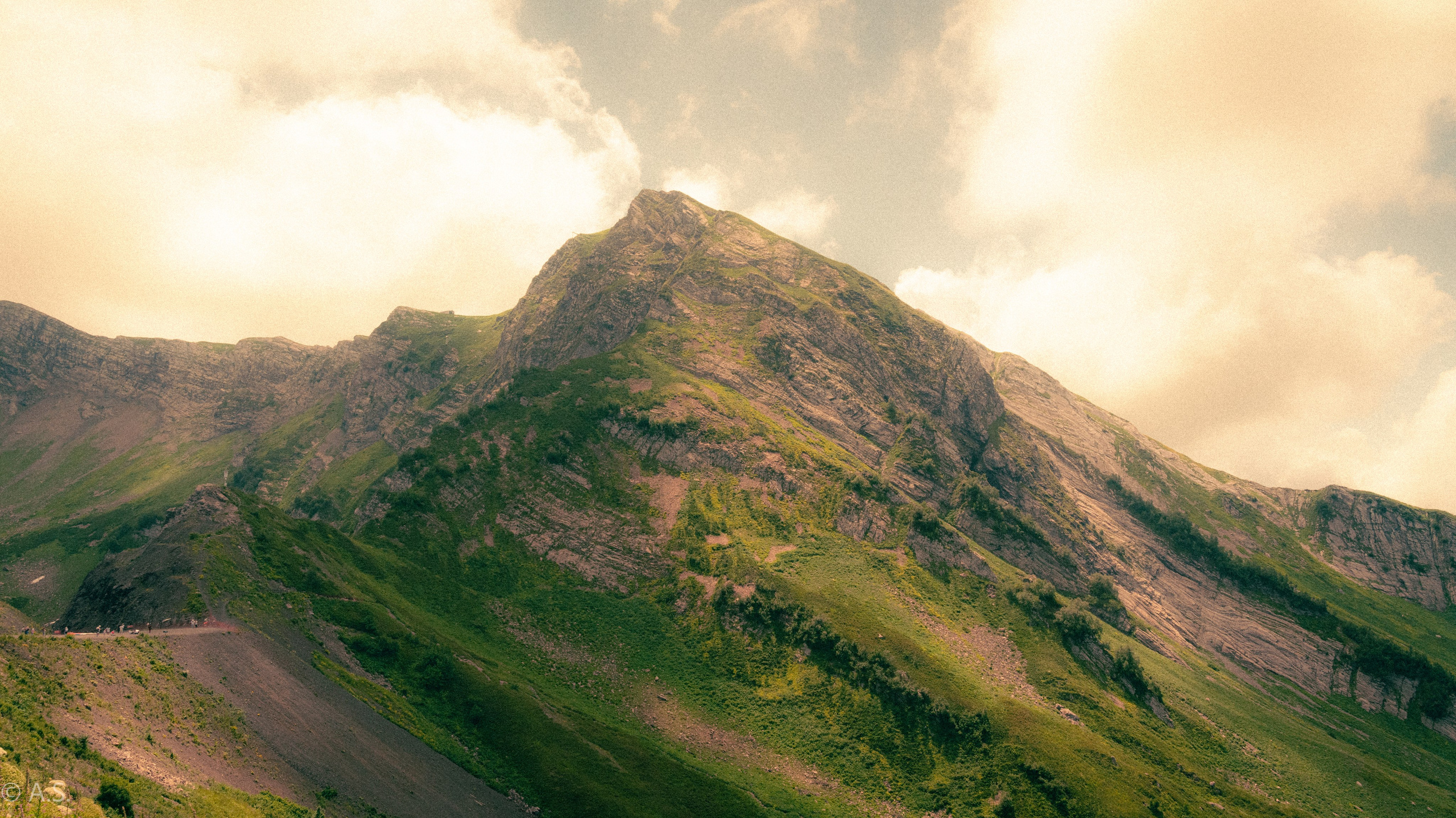 Коммерческий фотограф в Москве Садовников Алексей