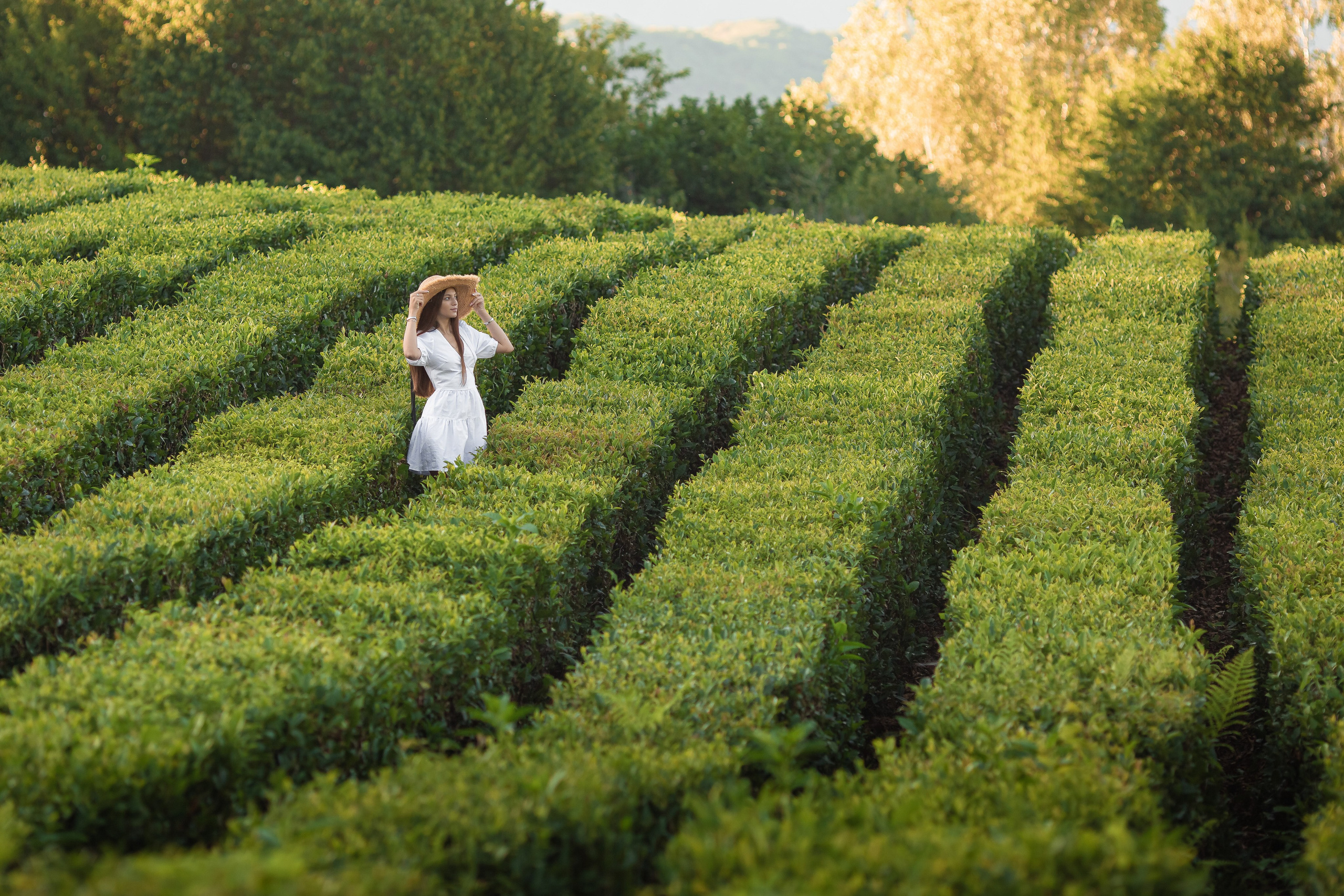 Чайная плантация. Сочи. Семейный и детский фотограф в Краснодарском крае Натали Фищенко