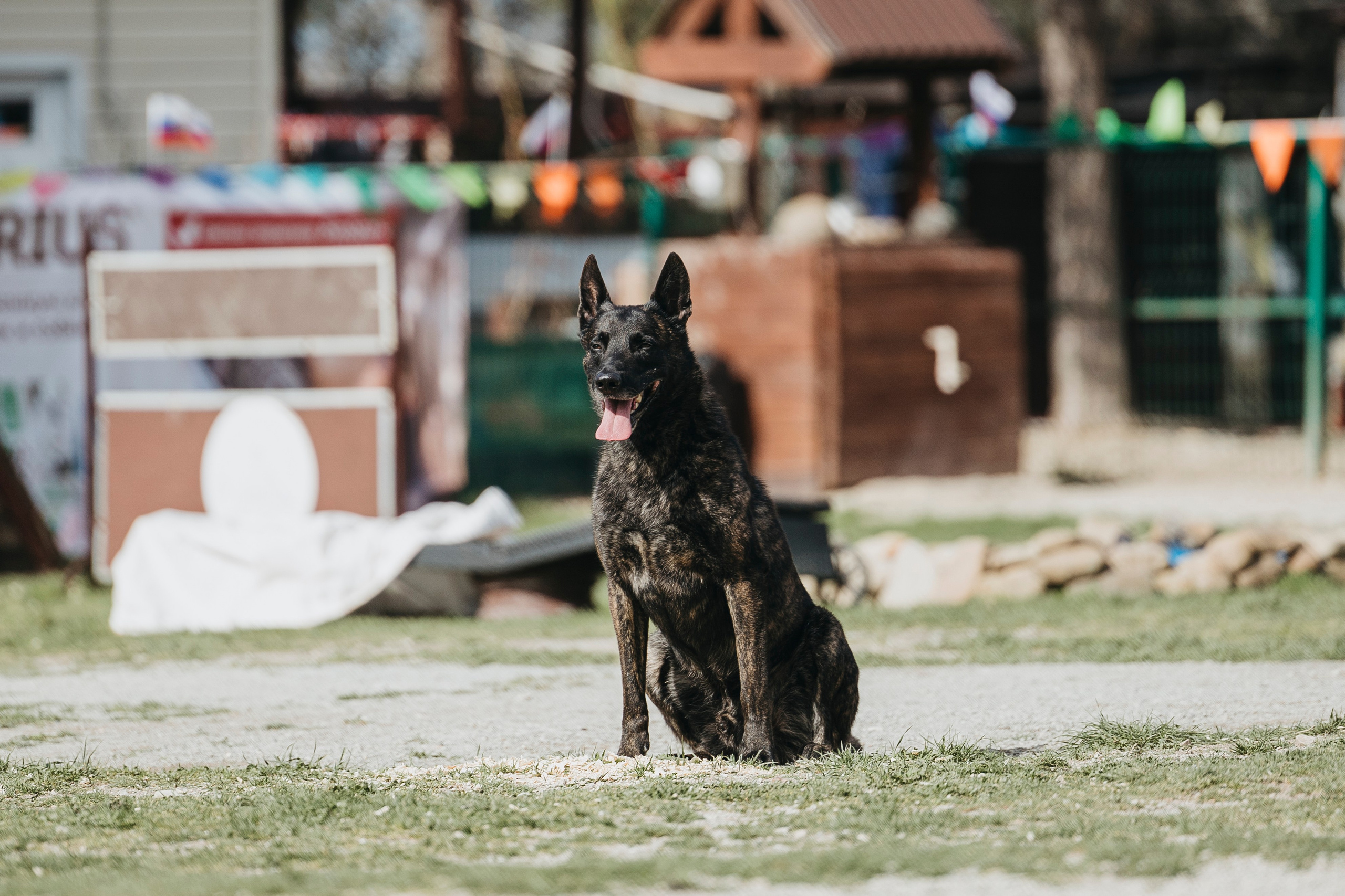 Геленджик Мондьоринг. Фотограф-анималист Анна Маринич
