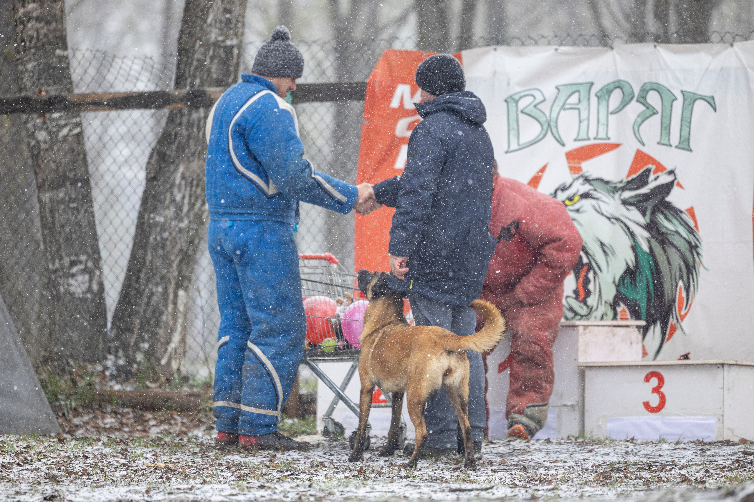 Квалификационные состязания по мондьорингу г. Вологда 11.05.24. Фотограф-анималист Анна Маринич