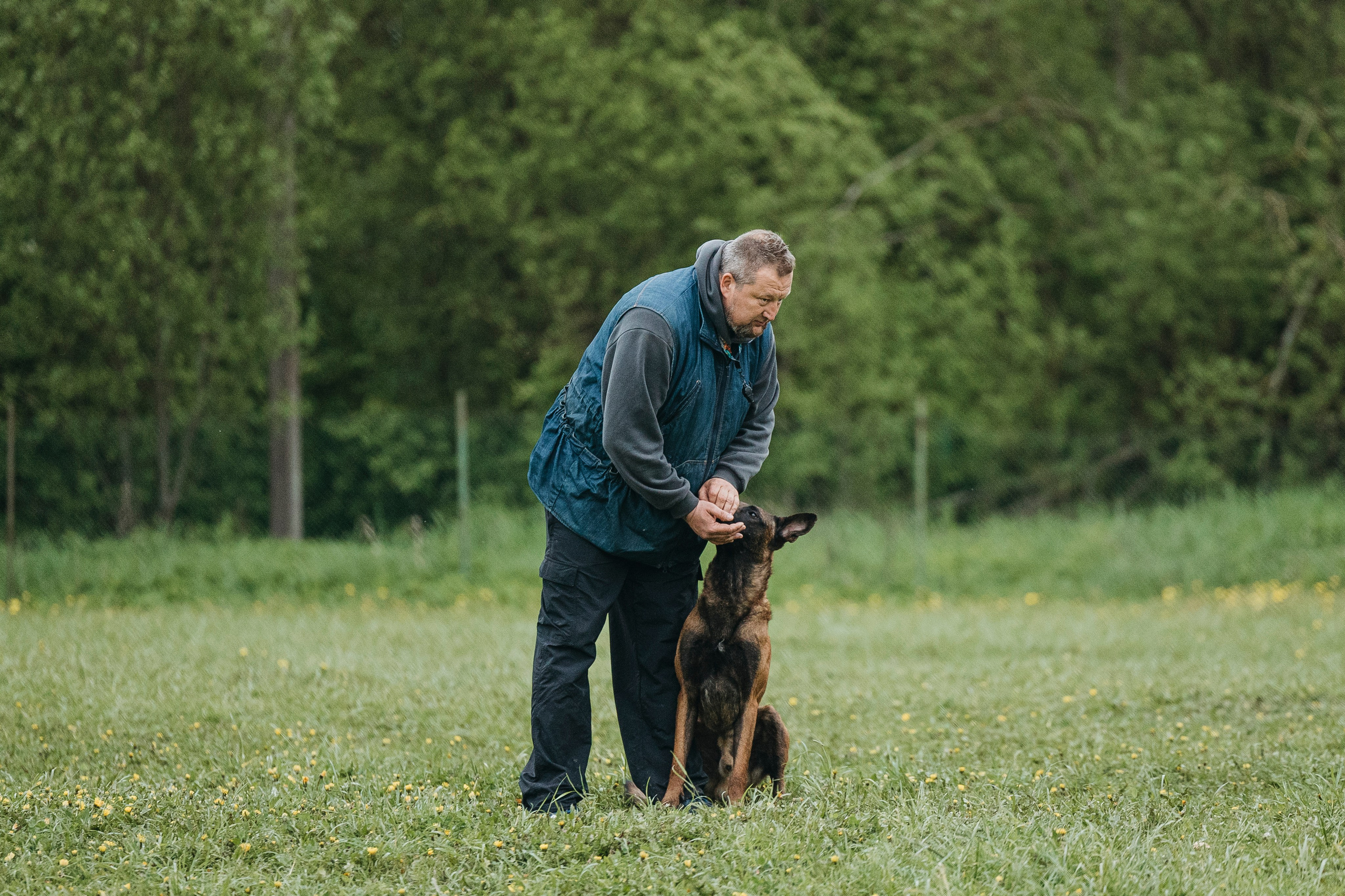 26.05.25 г. Пушкин квалификационные соревнования. Фотограф-анималист Анна Маринич