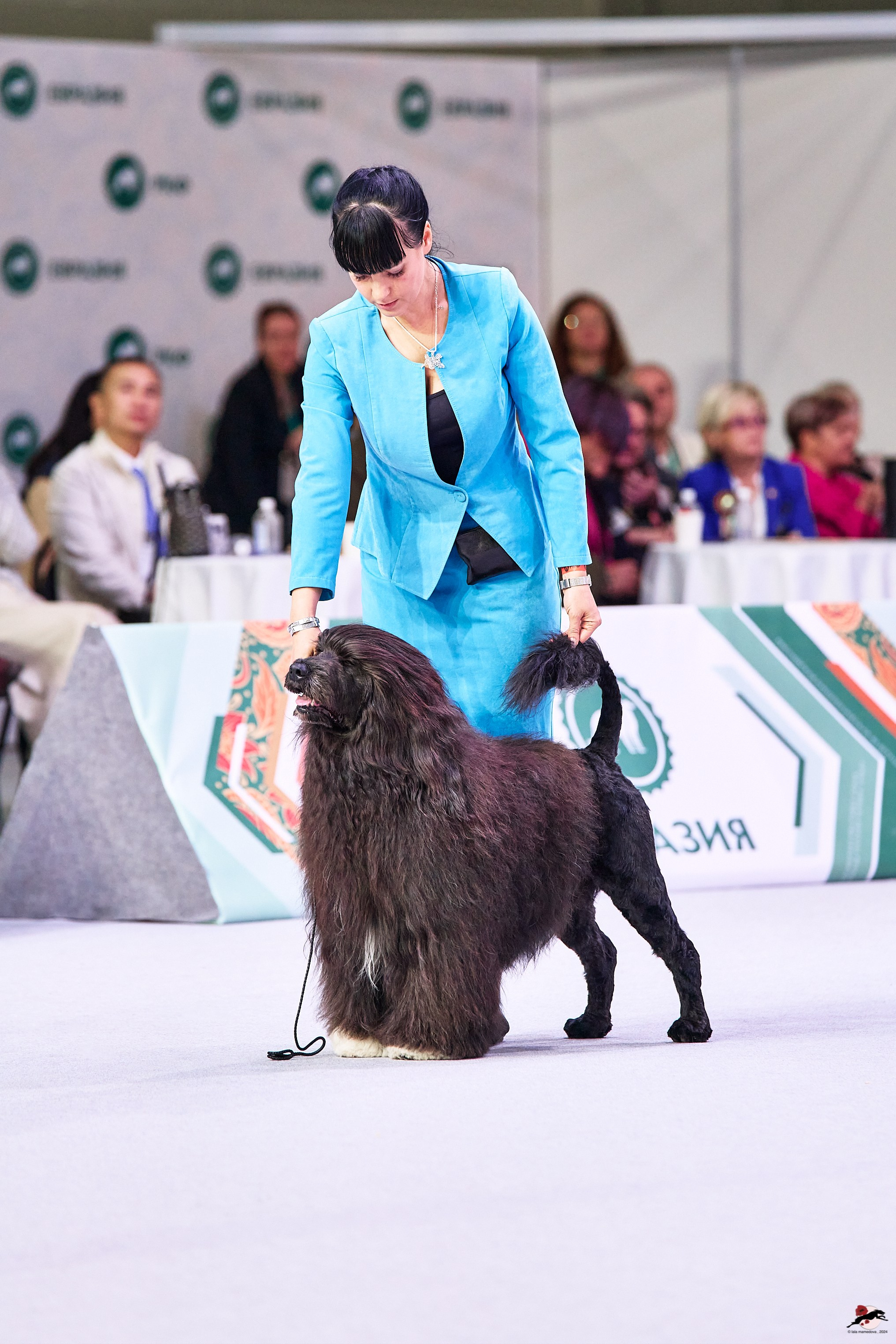 16.11.2024 «ЕВРАЗИЯ. КУБОК ПРЕЗИДЕНТА РКФ 2024»