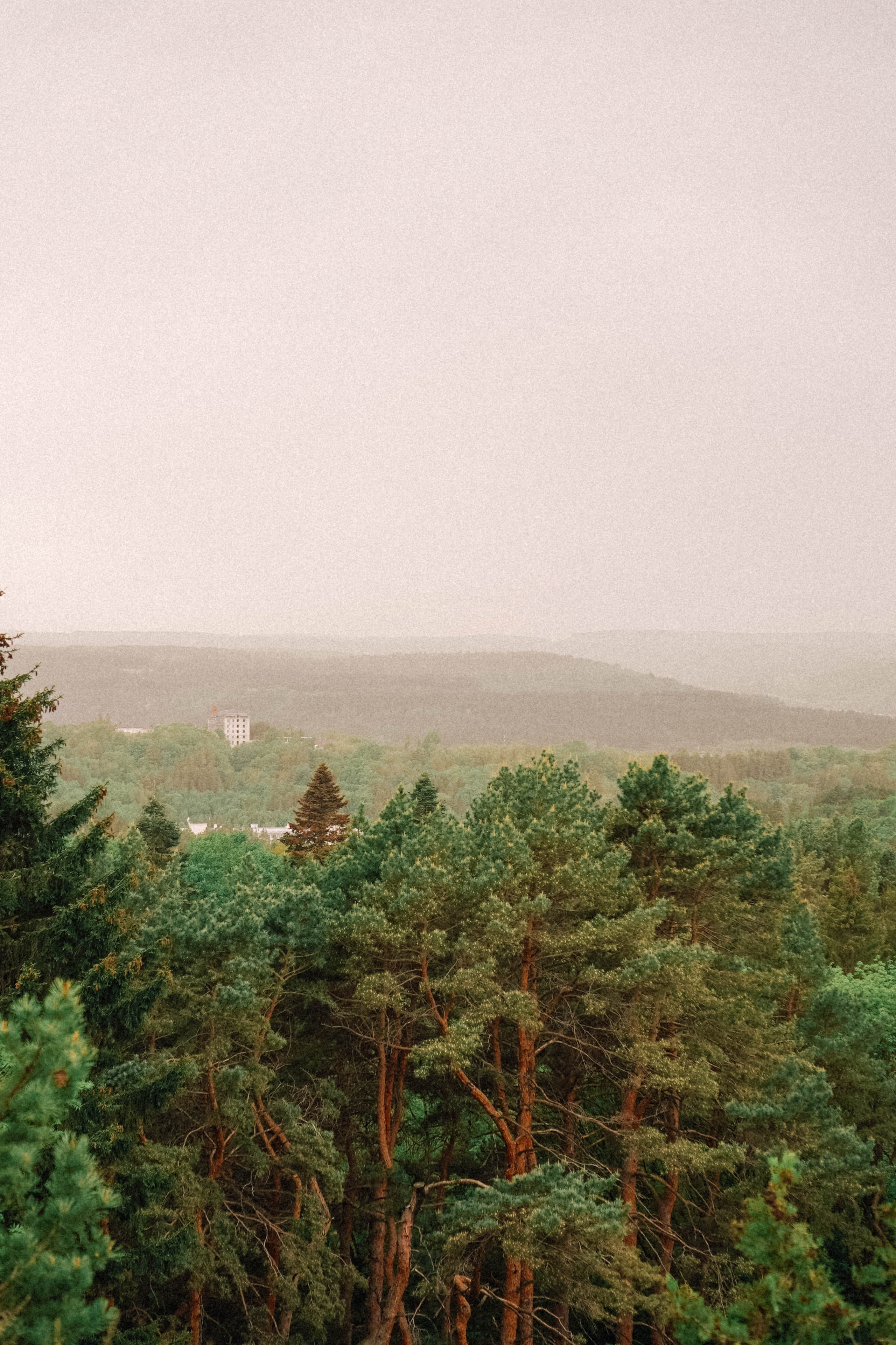 КИСЛОВОДСК. Профессиональный фотограф, Санкт-Петербург — Виктория Богомолова