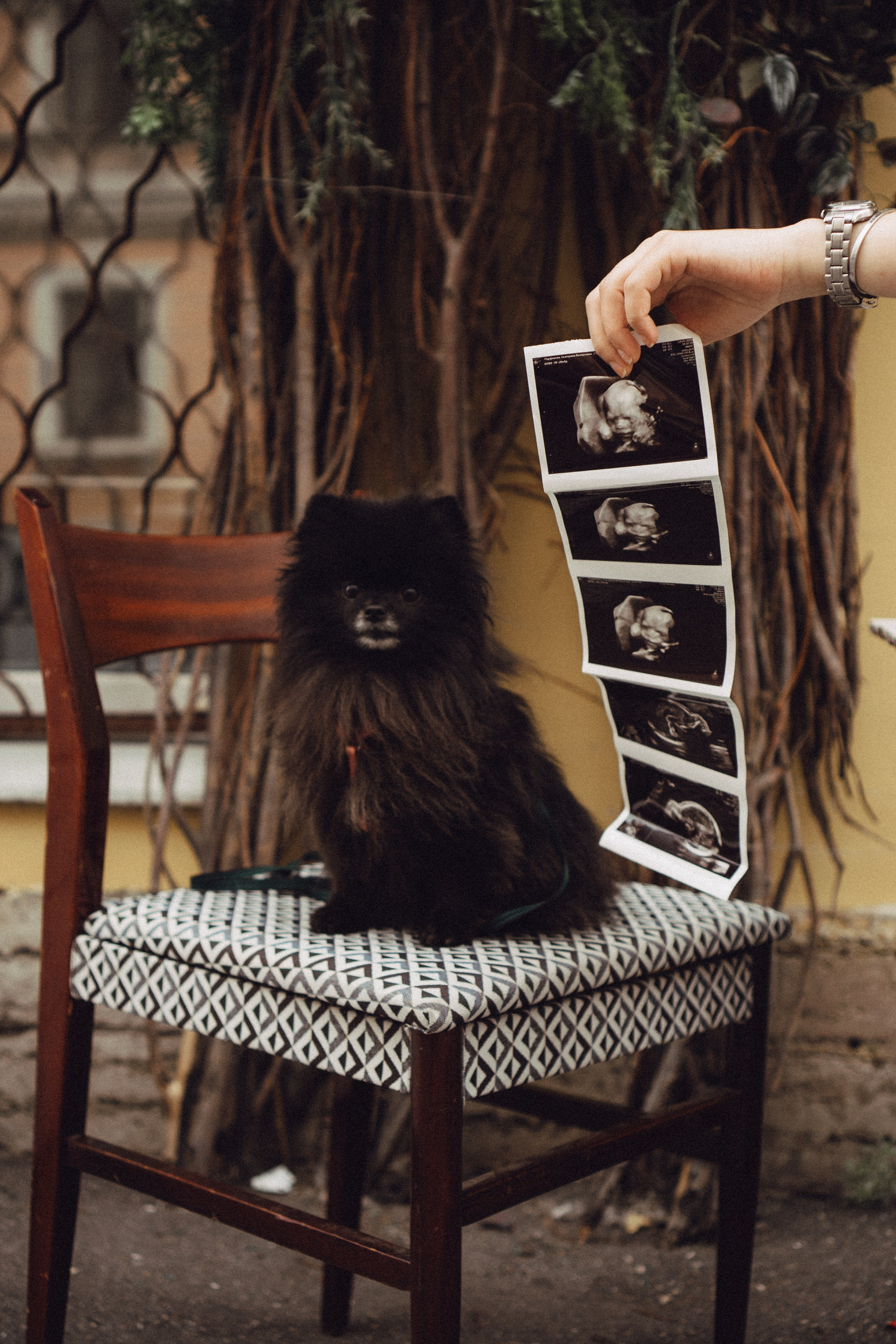 Беременность (только часть фото по желанию клиентов могу показать)). Профессиональный фотограф, Санкт-Петербург — Виктория Богомолова