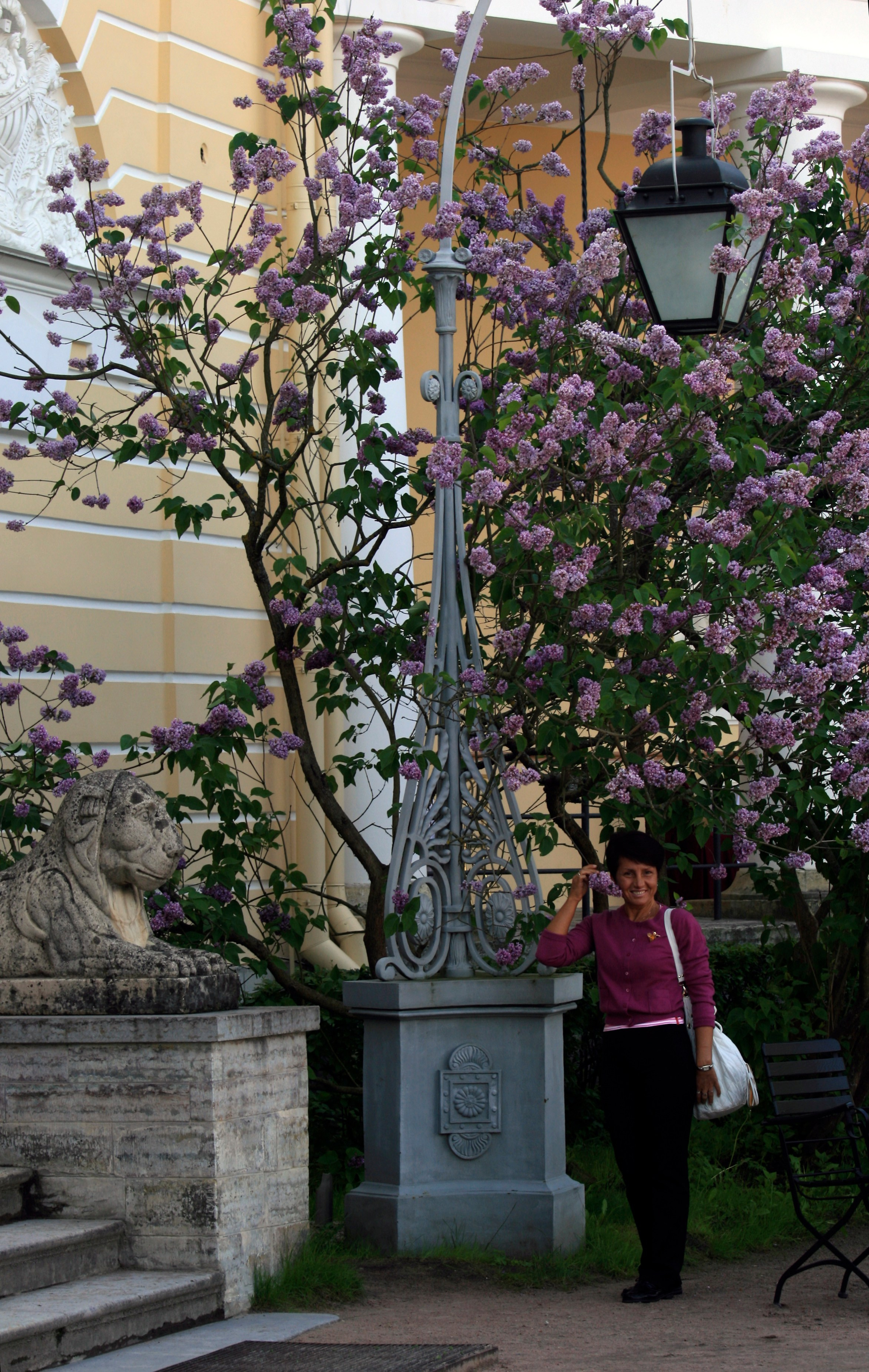 Питер 2010 г. Улица, люди, жизнь…