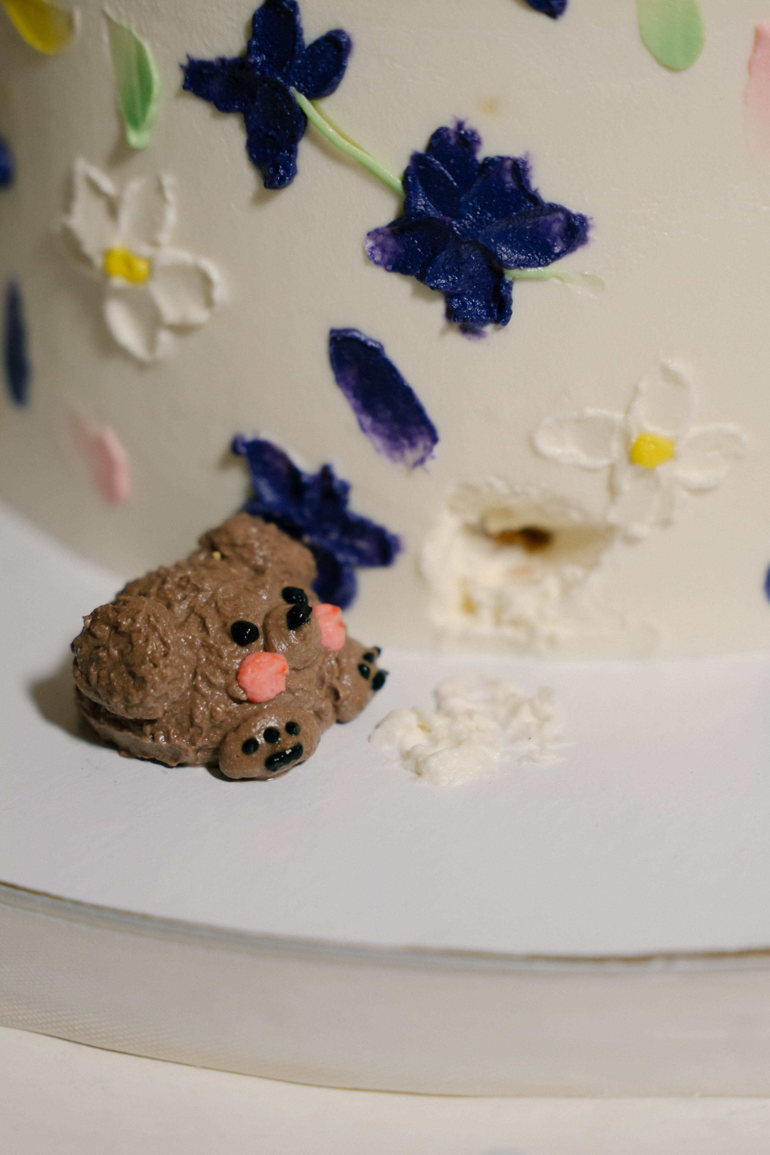 Екатерина и Тимофей. Ульяна Ремезова | Фотограф | Челябинск