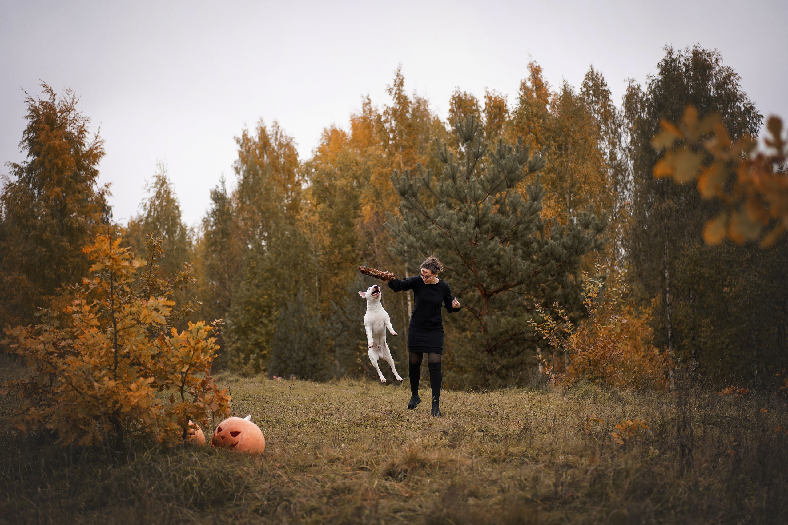 Настя Рома и Сахар Хелоуин. Фотограф-анималист в Санкт-Петербурге Яна Мартынова
