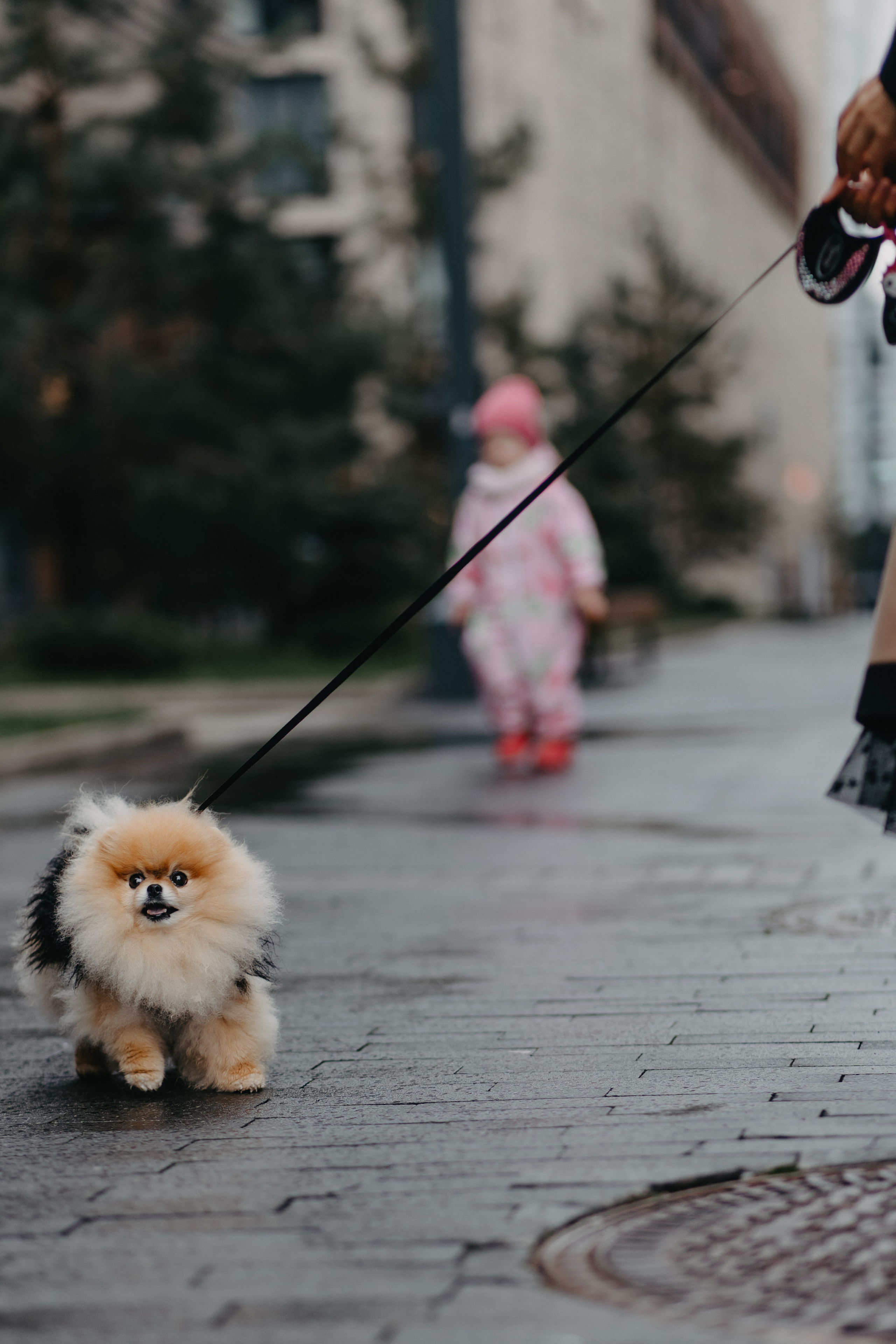 Романтика в большом городе. LEONTEVA_ANASTASIA