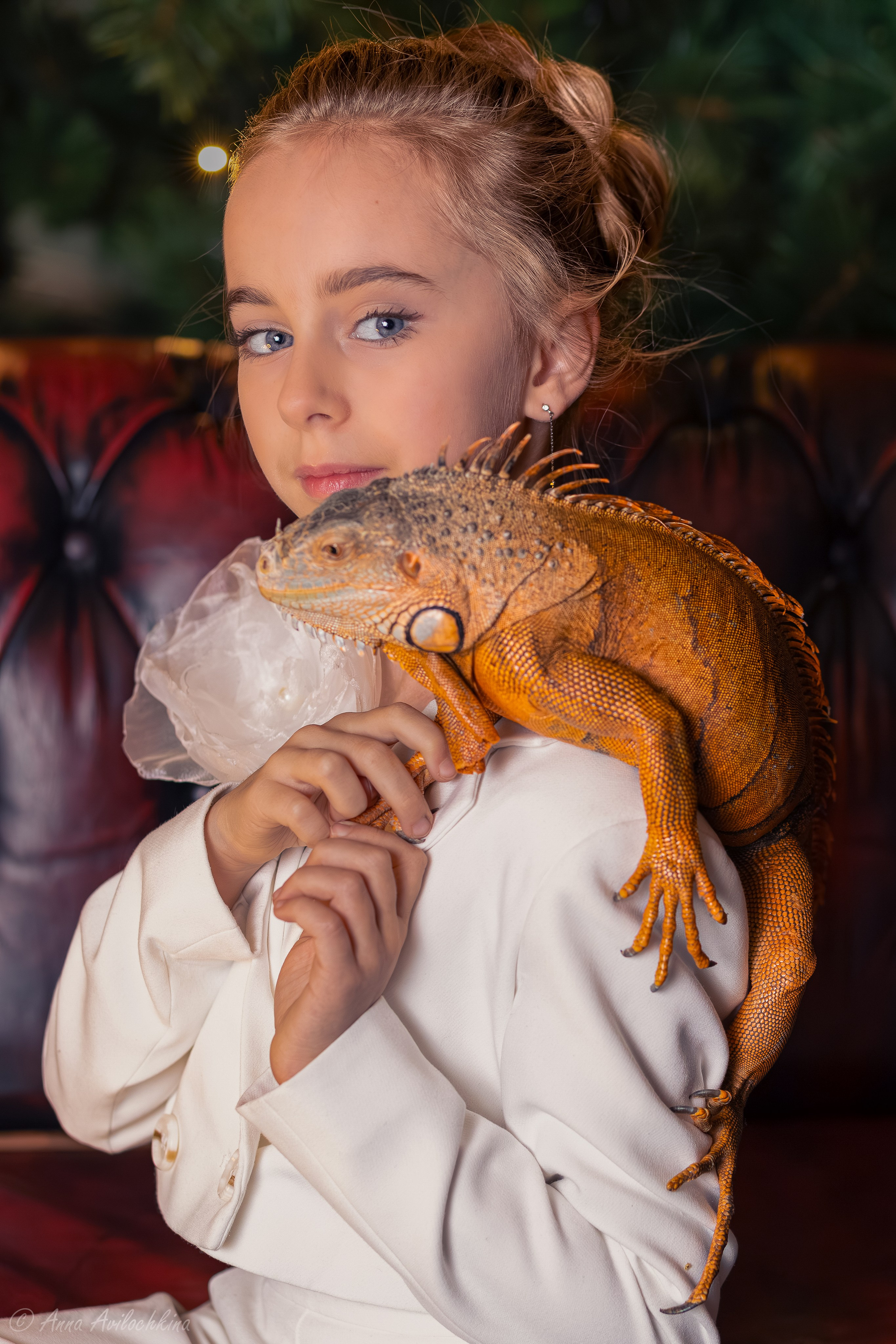 Альбомы стилизованных фотосессий и съёмки с животными. Семейный и свадебный фотограф в Москве и Домодедово Анна Авилочкина