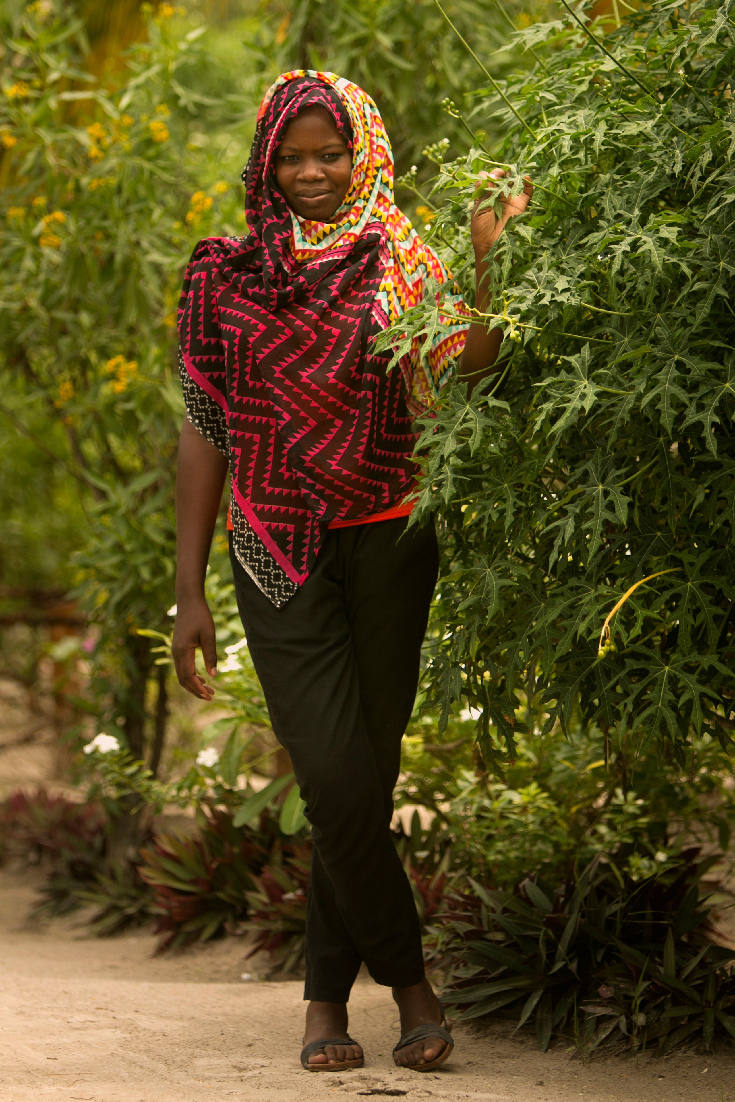 Прогулка. Фотограф Лагутин Анатолий