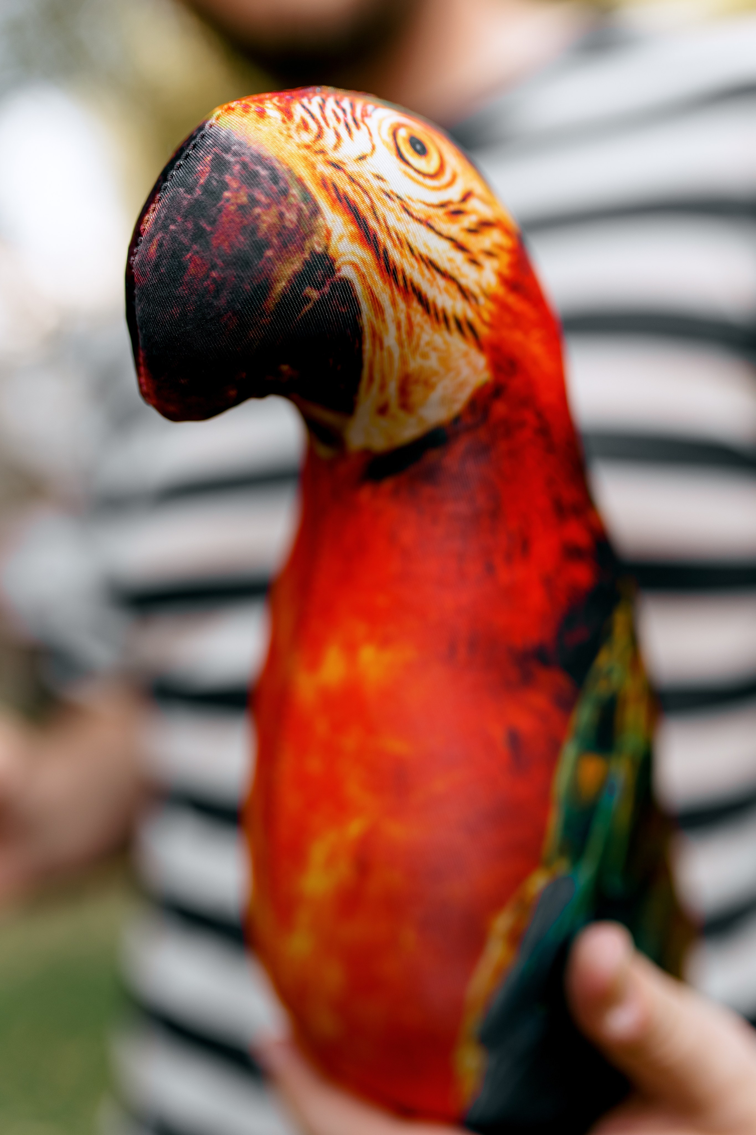 Пиратская вечеринка. Свадебный и семейный фотограф в Туле и области Маша Костина