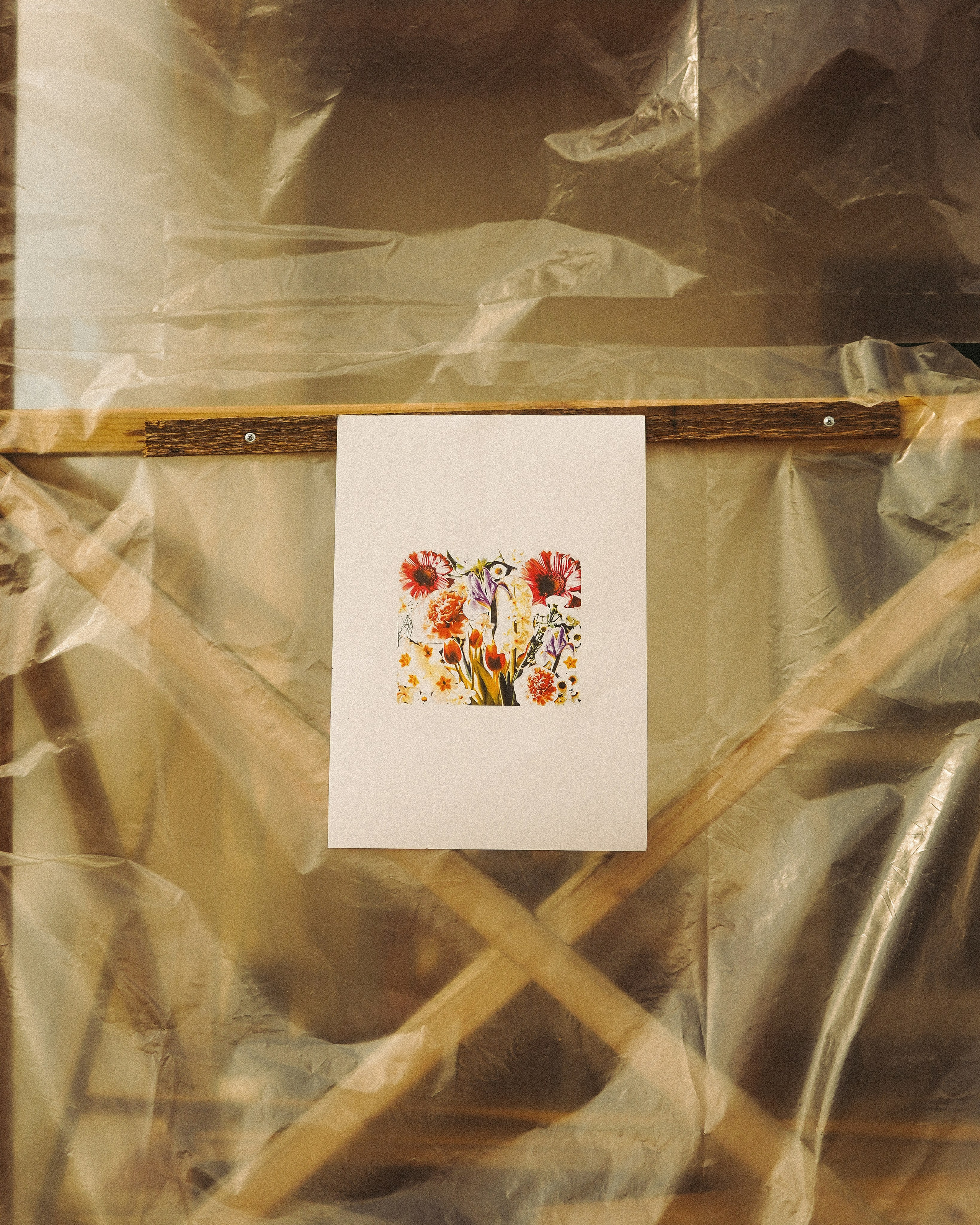 FLOWERS. Фотограф Нижний Новгород