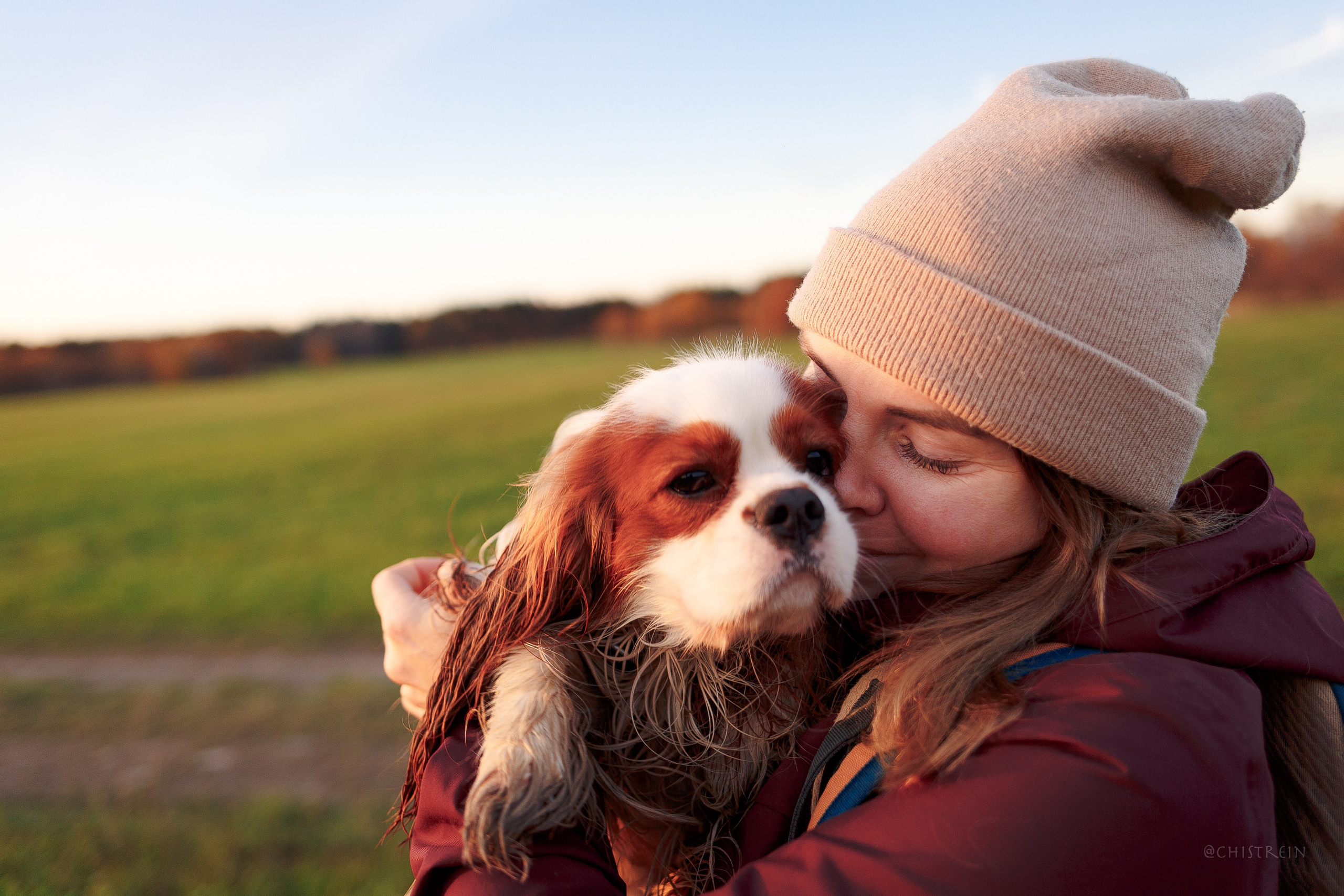 Октябрьский закат в полях. Алина и Лео. Фотограф-анималист Наталия Чистюхина в г. Сосновый Бор и ЛО