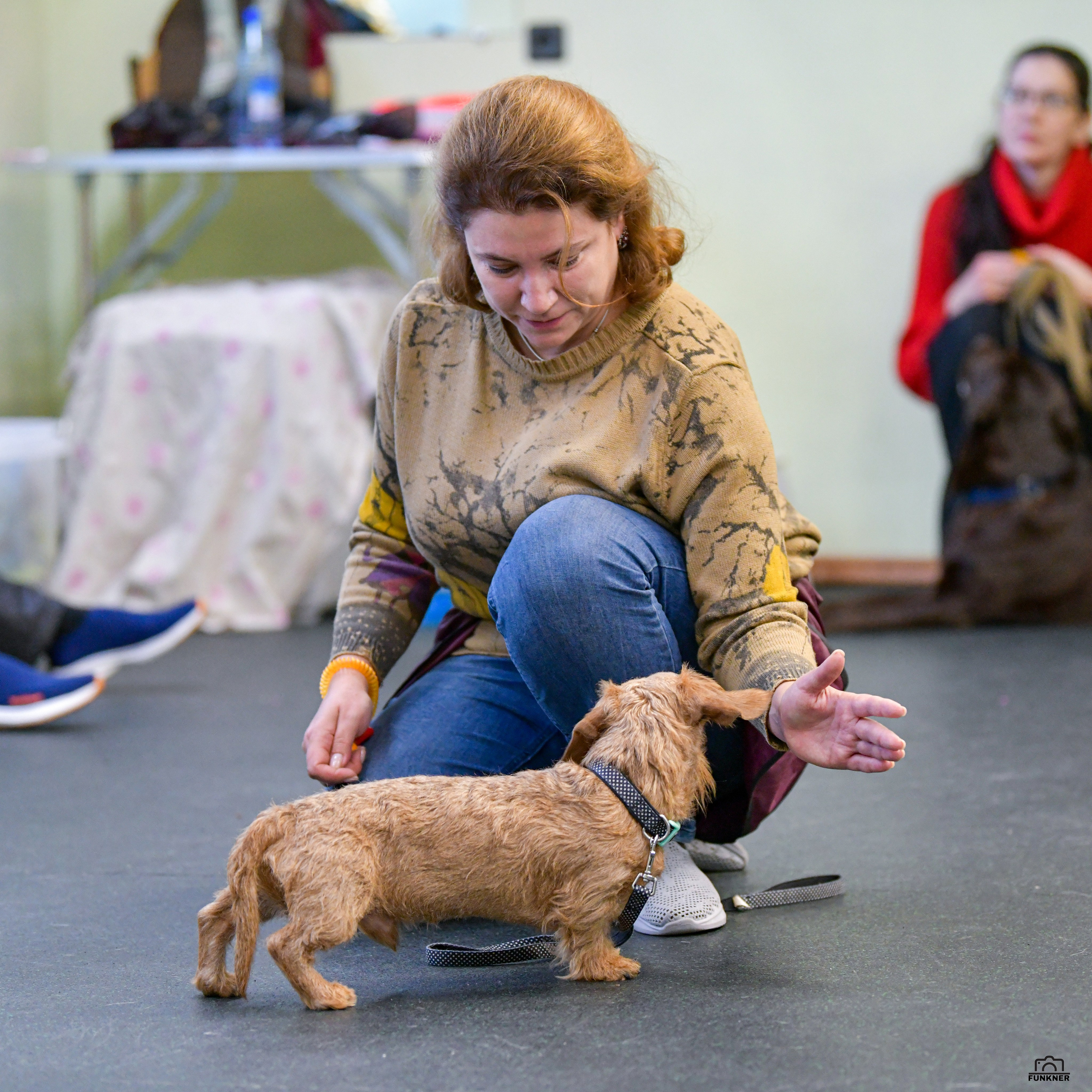 Кинологический клуб «Бодрый хвост». Свой взгляд через объектив