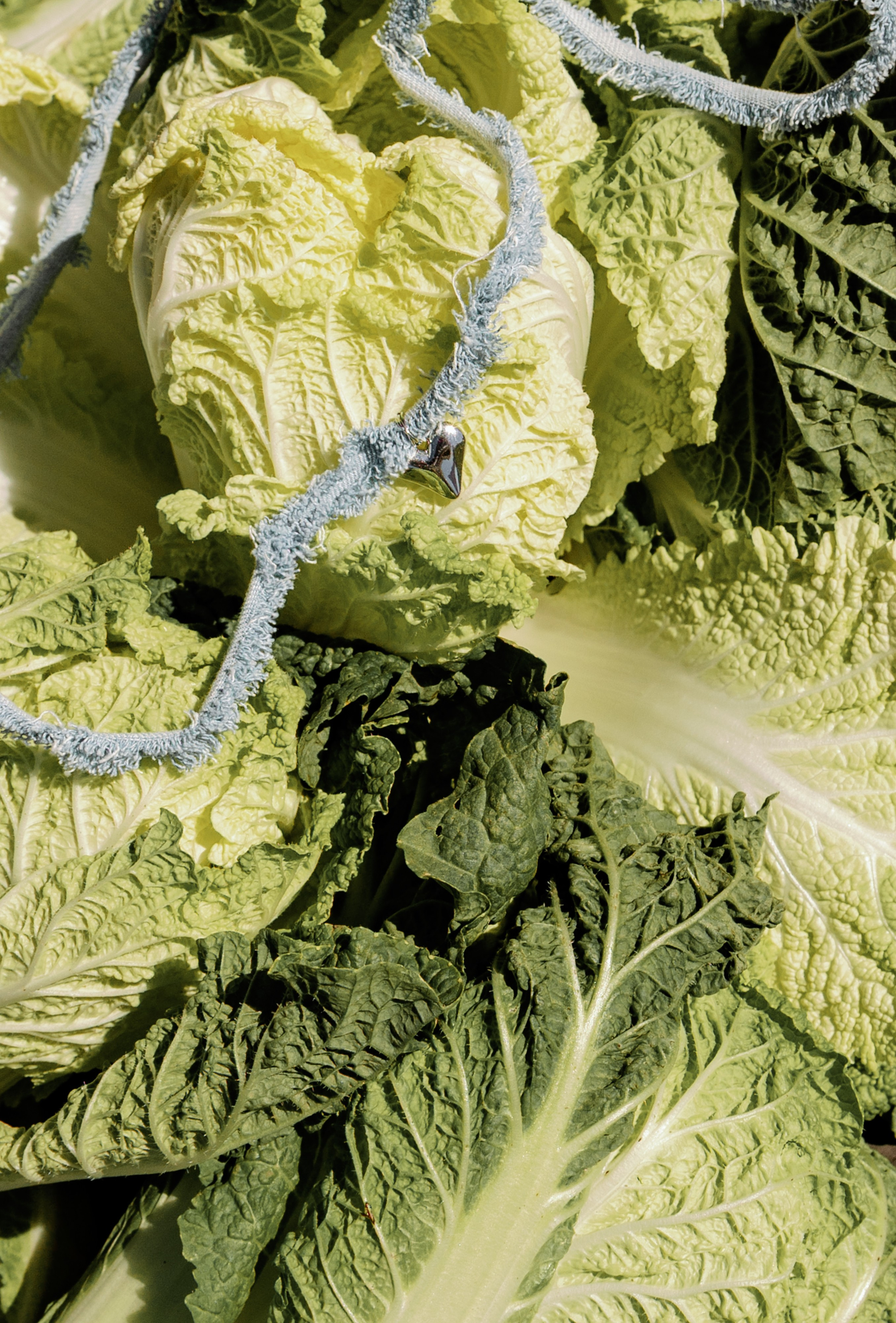 LEVI'S LUV. Fusion Wedding Photographer