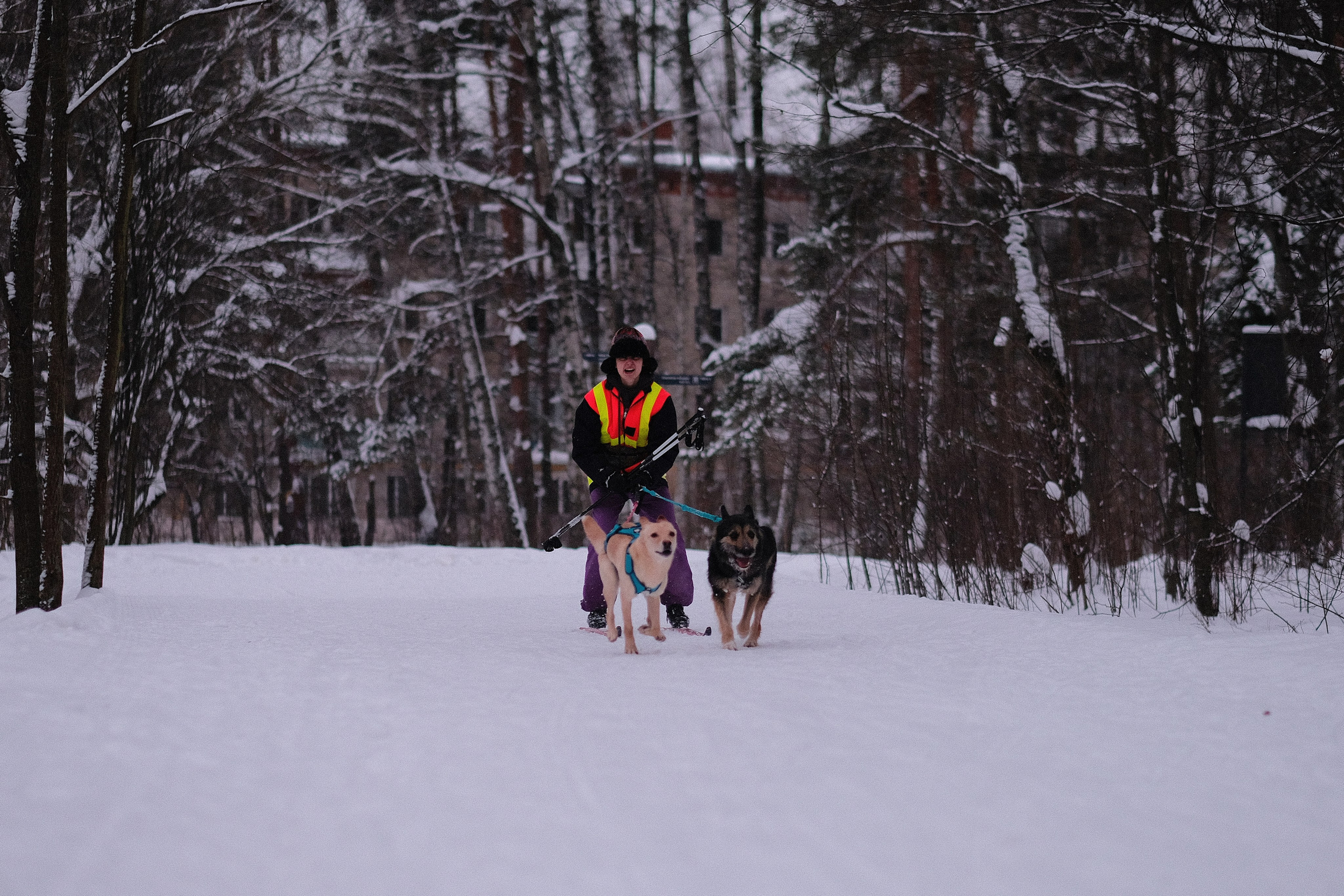 Рик, Листик и их Катя. Дмитрий Бречалов
