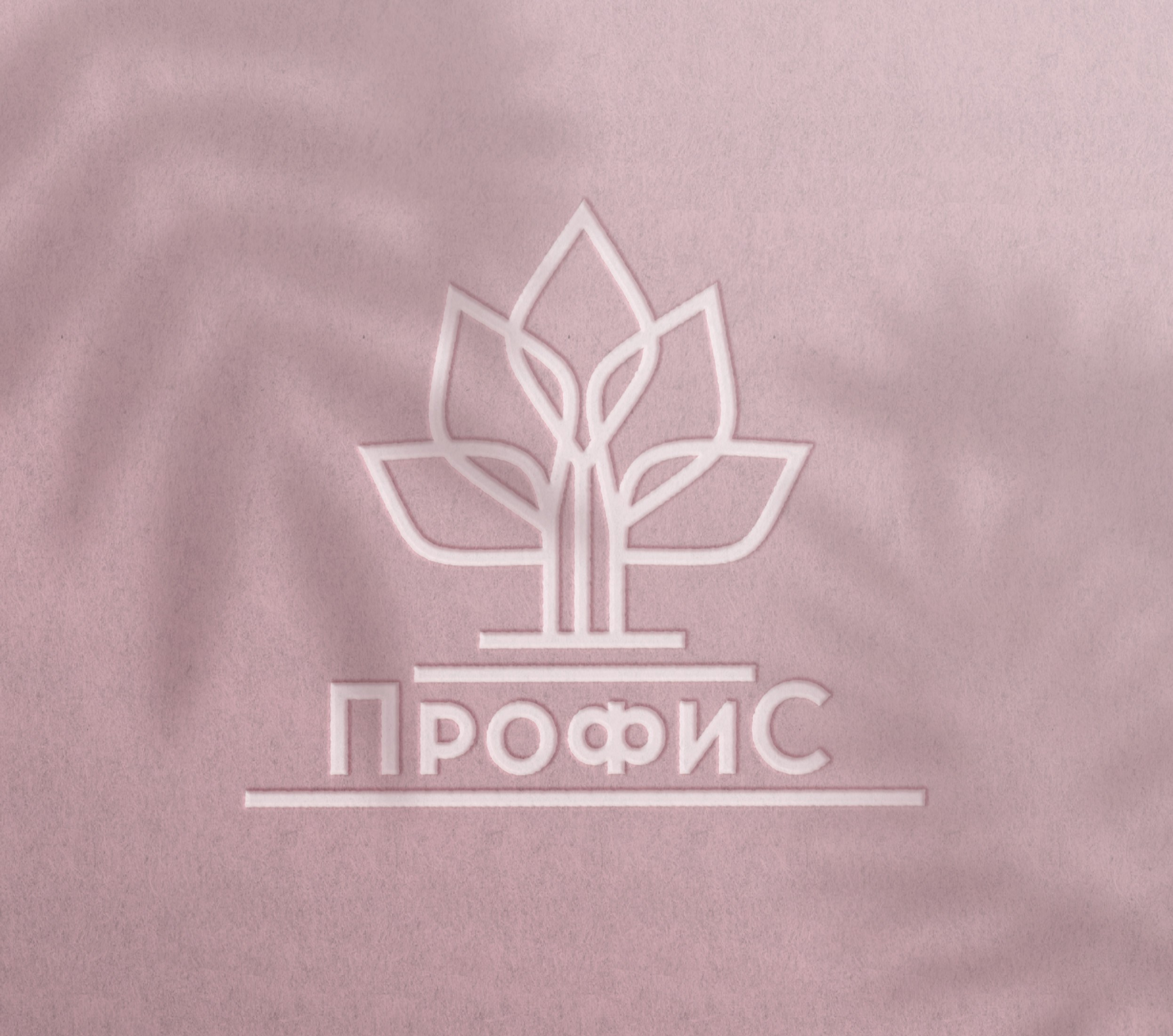 логотип, разработка логотипа, дизайнер москва, разработка дизайна, логотип для бухгалтера, изайнер Екатерина Лобачева 