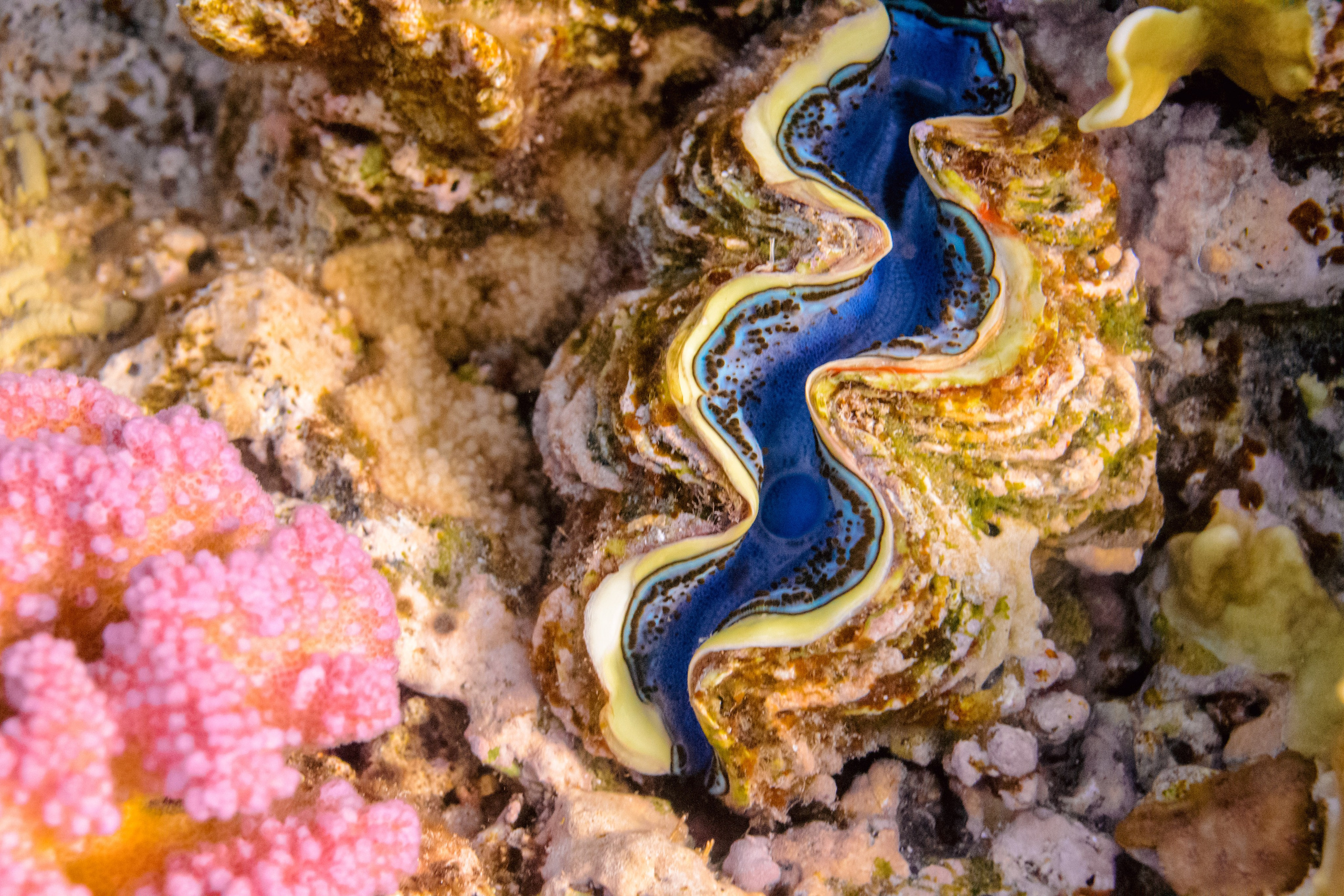Море. Фотограф в Санкт-Петербурге Ибрагимова Алина