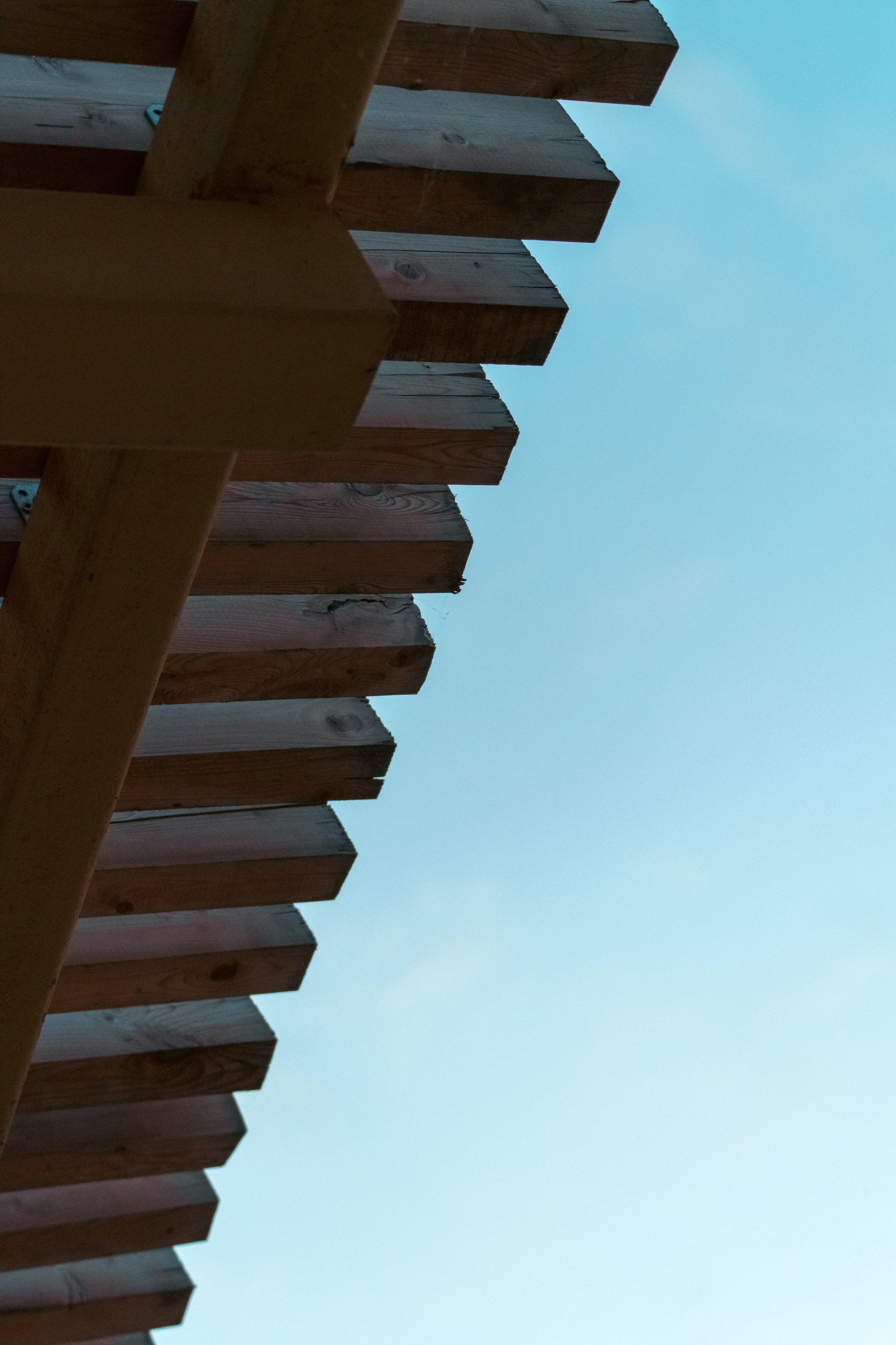 Санкт-Петербург. Фотограф в Санкт-Петербурге Ибрагимова Алина