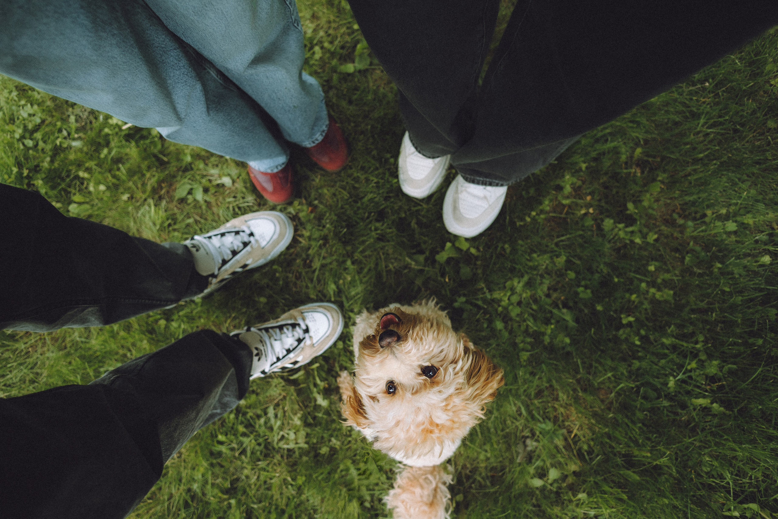 Фред и его семья