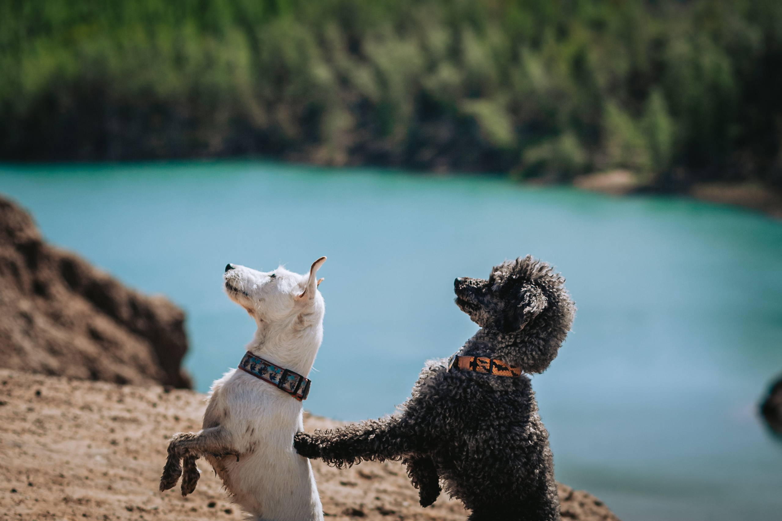 Кондуки. Фотограф-анималист Татьяна Степанова