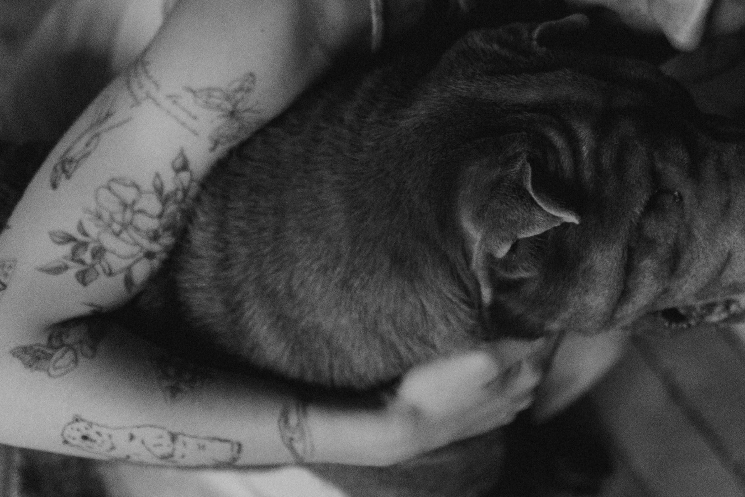 Ульяна и Вагнер. Фотограф — Анималист | Санкт-Петербург