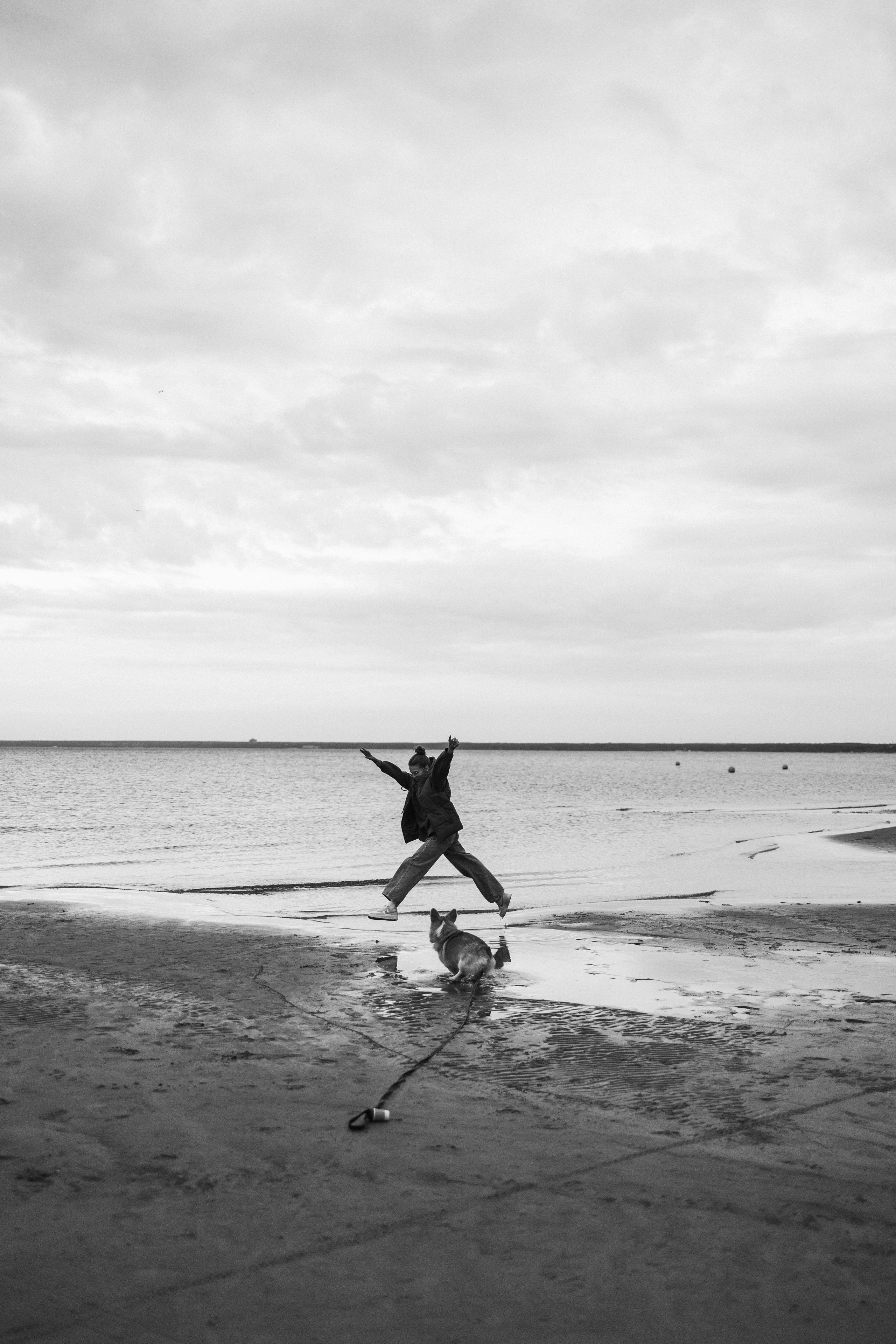 Пресеты. Фотограф — Анималист | Санкт-Петербург