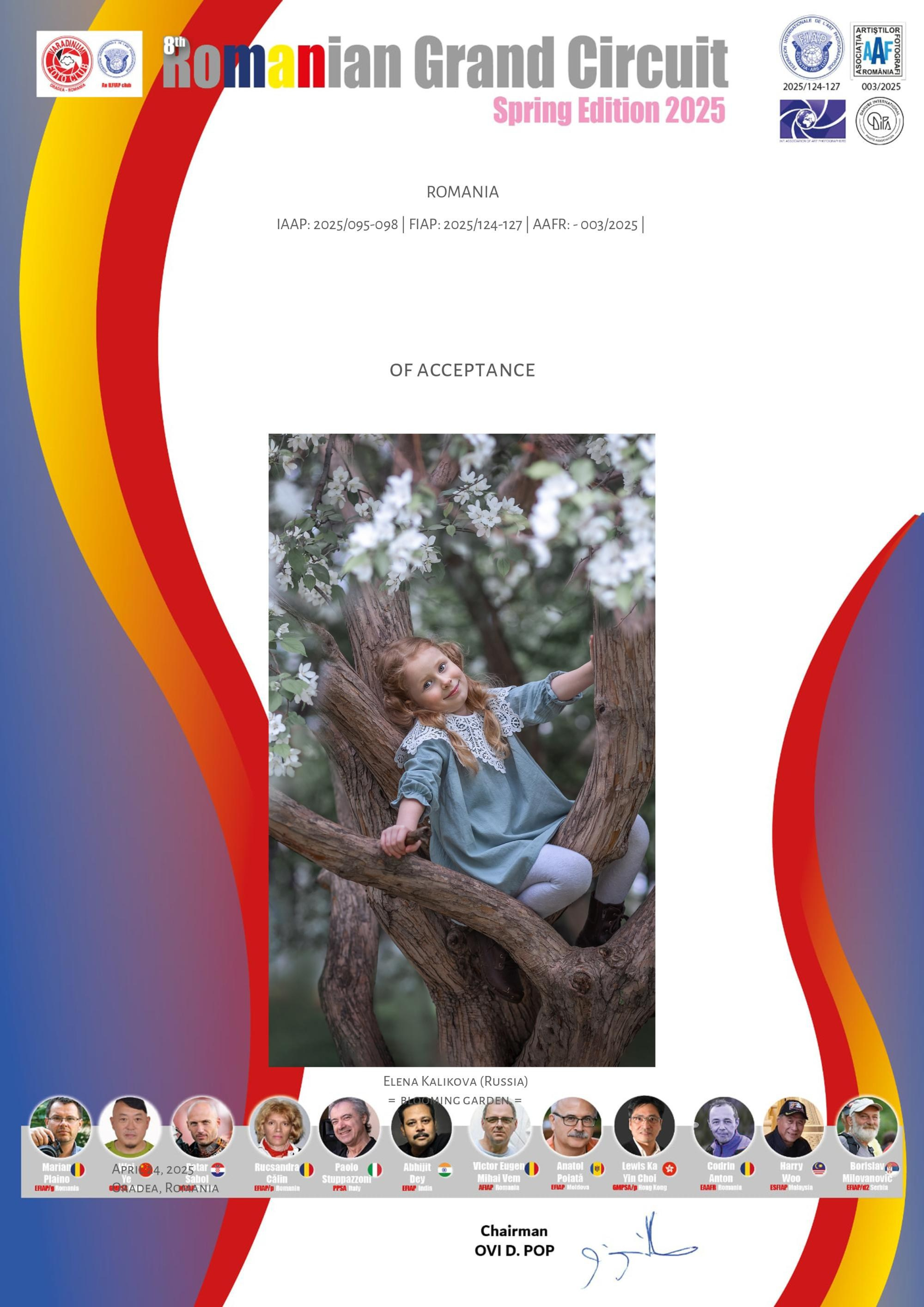 Дипломы и Награды. Семейный и детский фотограф в Екатеринбурге Каликова Елена