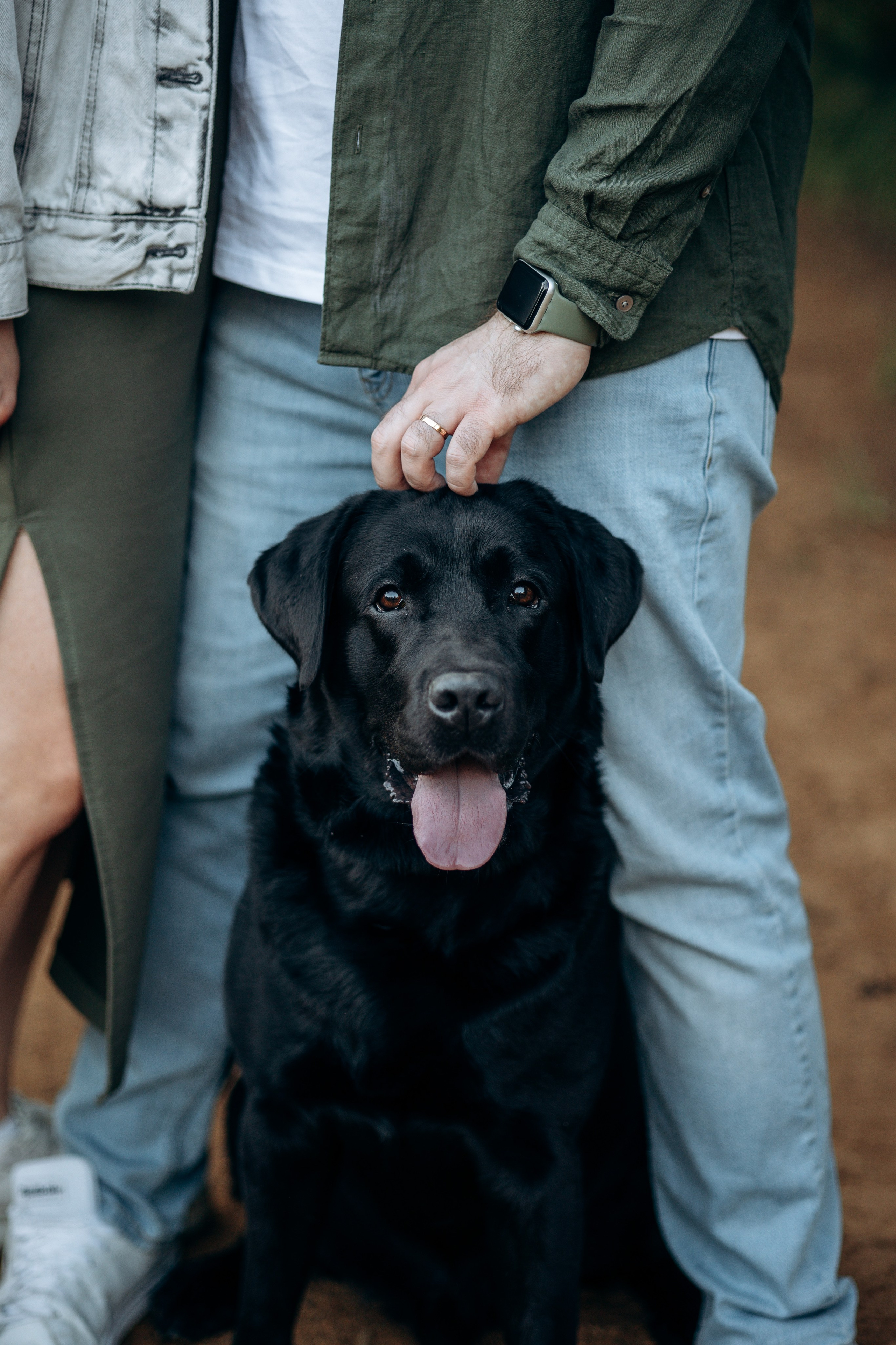 Бомбей и его семья. Фотограф — Анималист | Санкт-Петербург