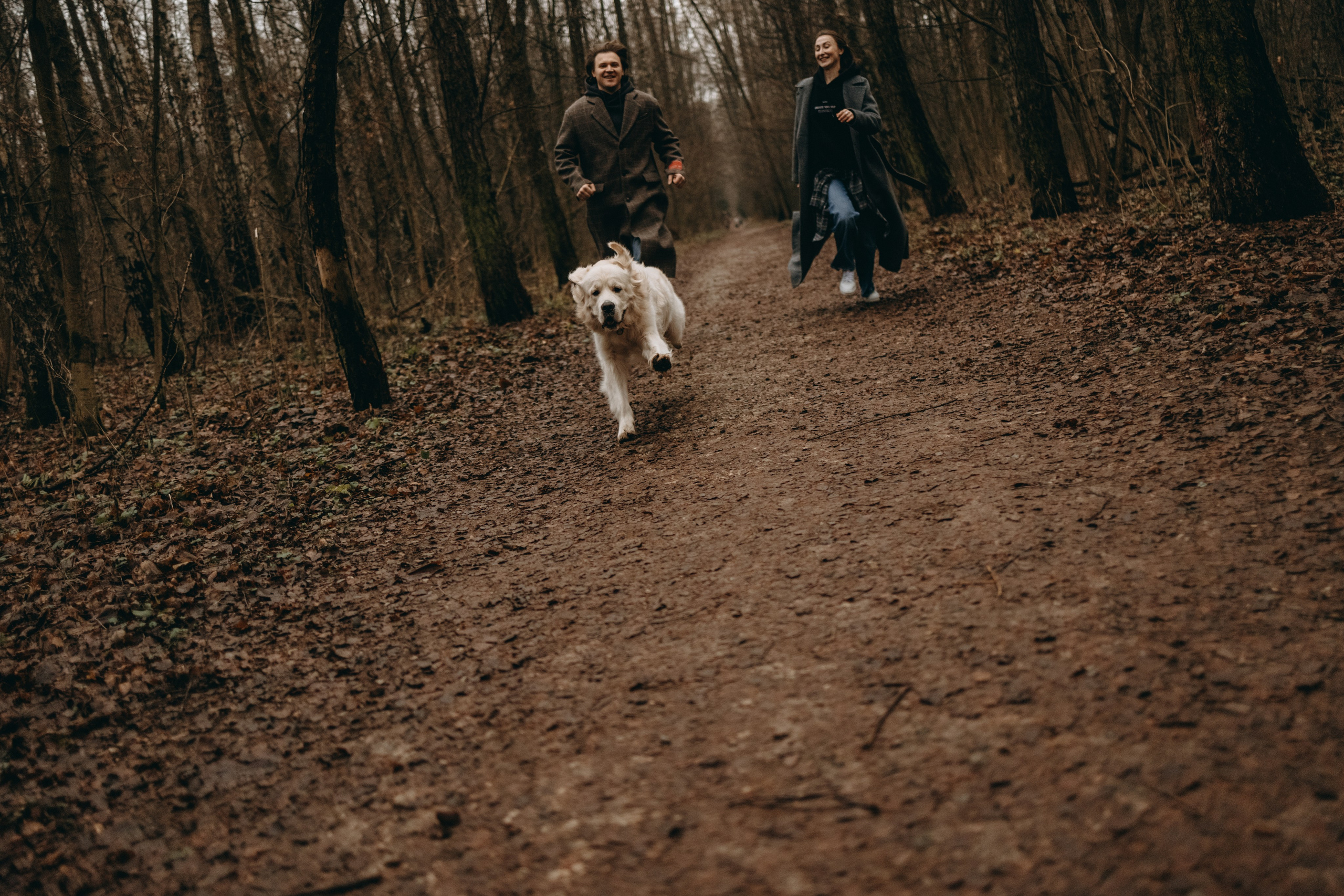 Лаки и его семья. Фотограф — Анималист | Санкт-Петербург