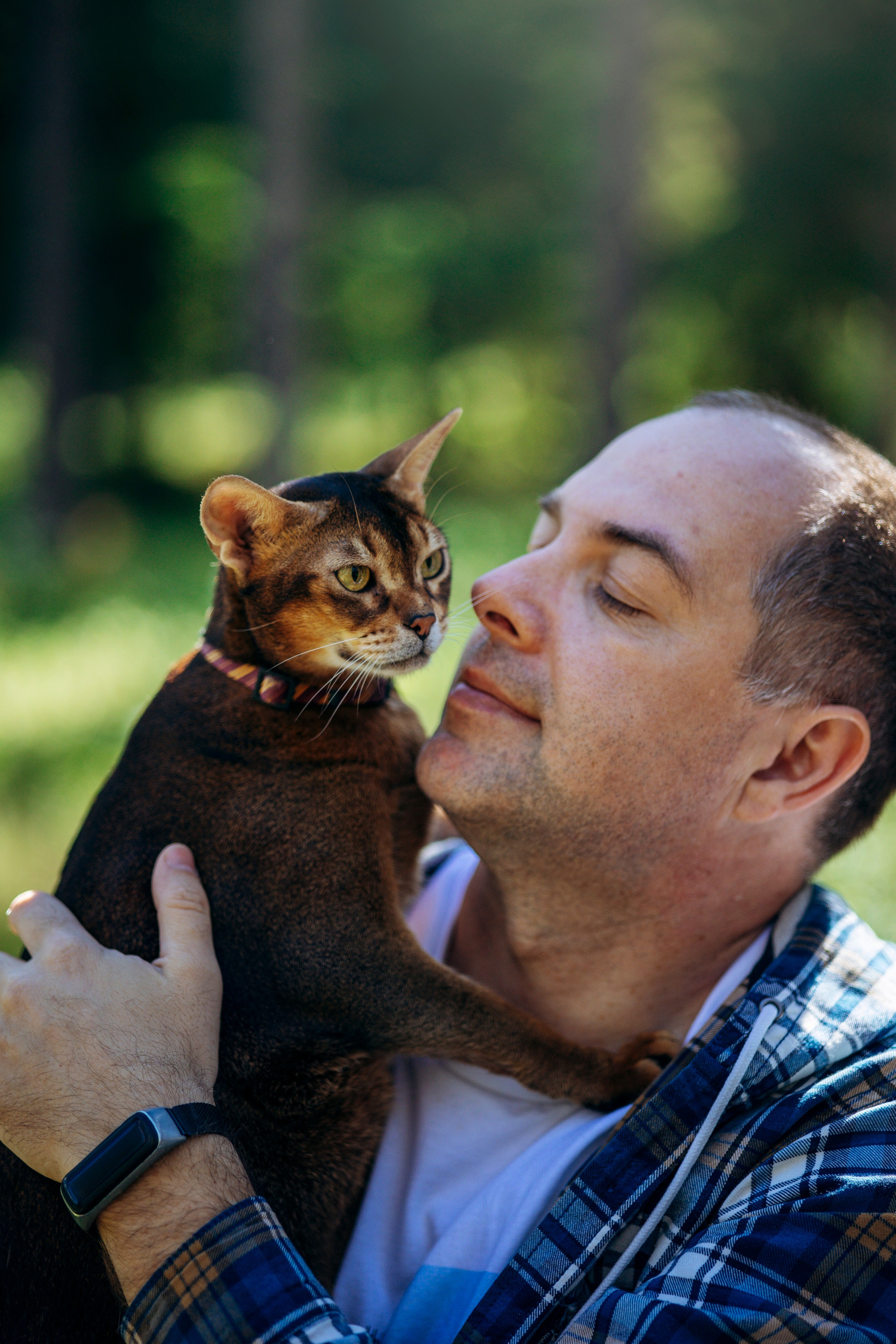 Котофеи и их семья. Фотограф — Анималист | Санкт-Петербург