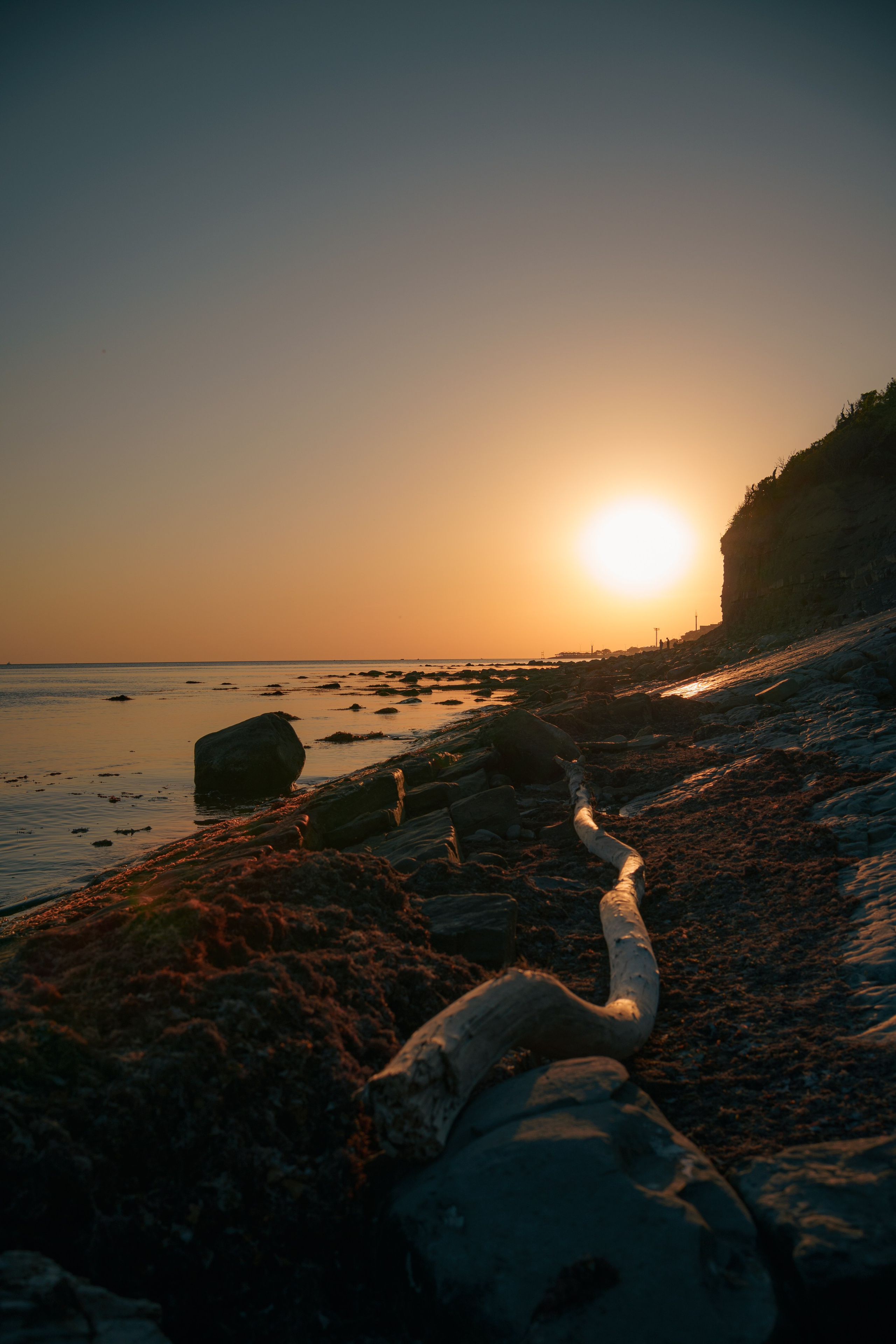 Лиса на море 🦊. Свадебный и репортажный фотограф Ростов-на-Дону Алексей Гуль