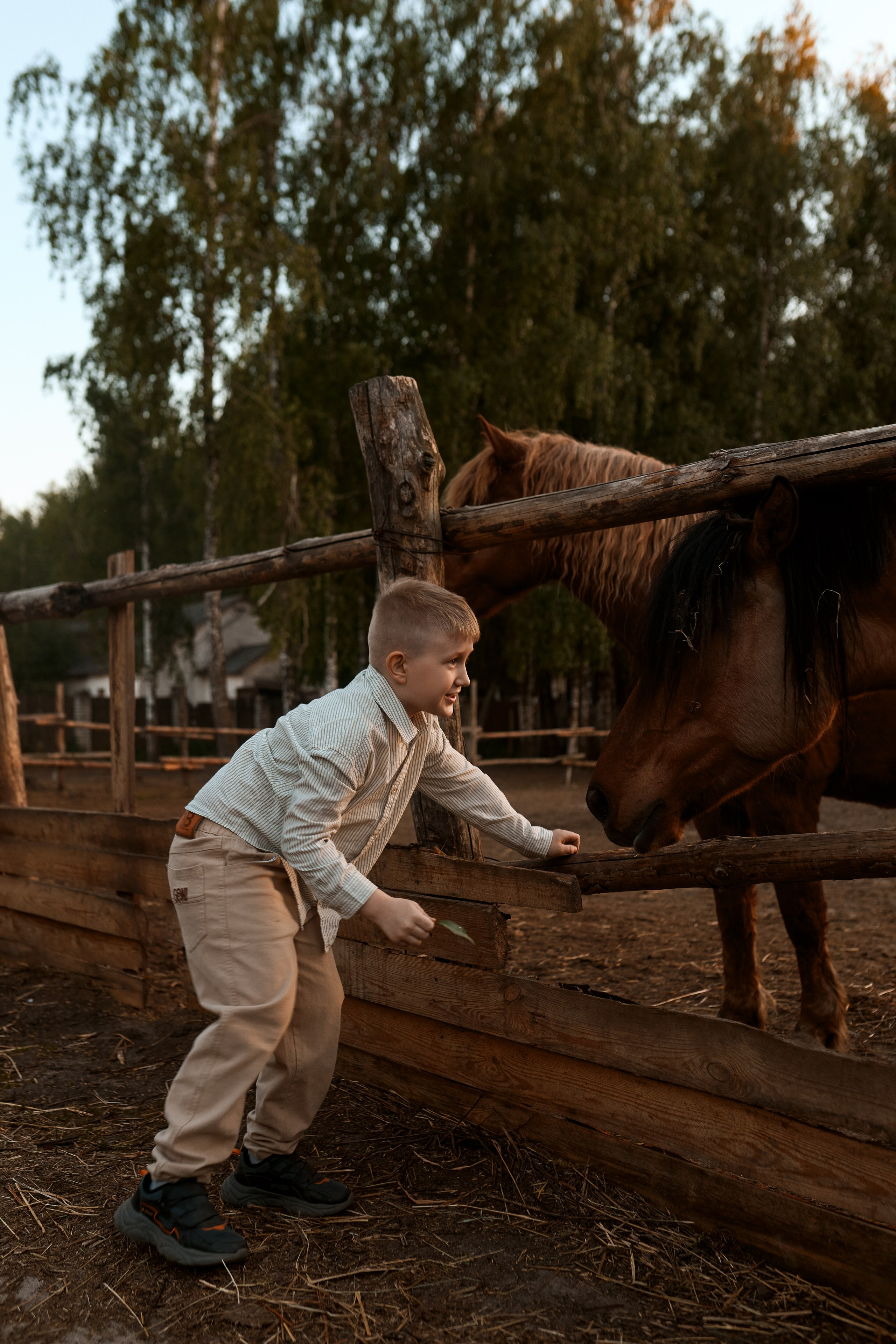 Екатерина и Миша. Фотограф в Брянске — Анастасия Шкуднова
