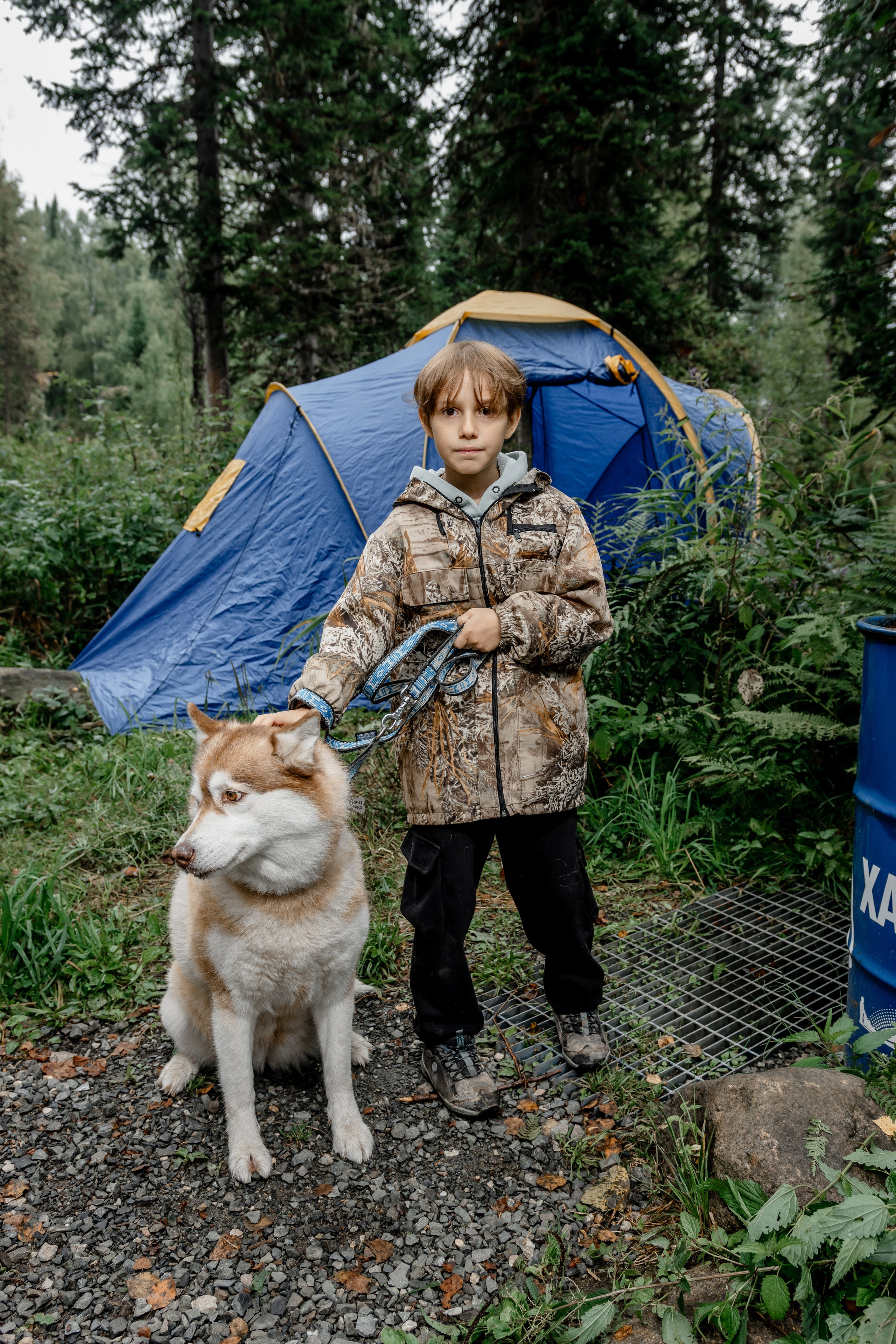 Дог-треккинг